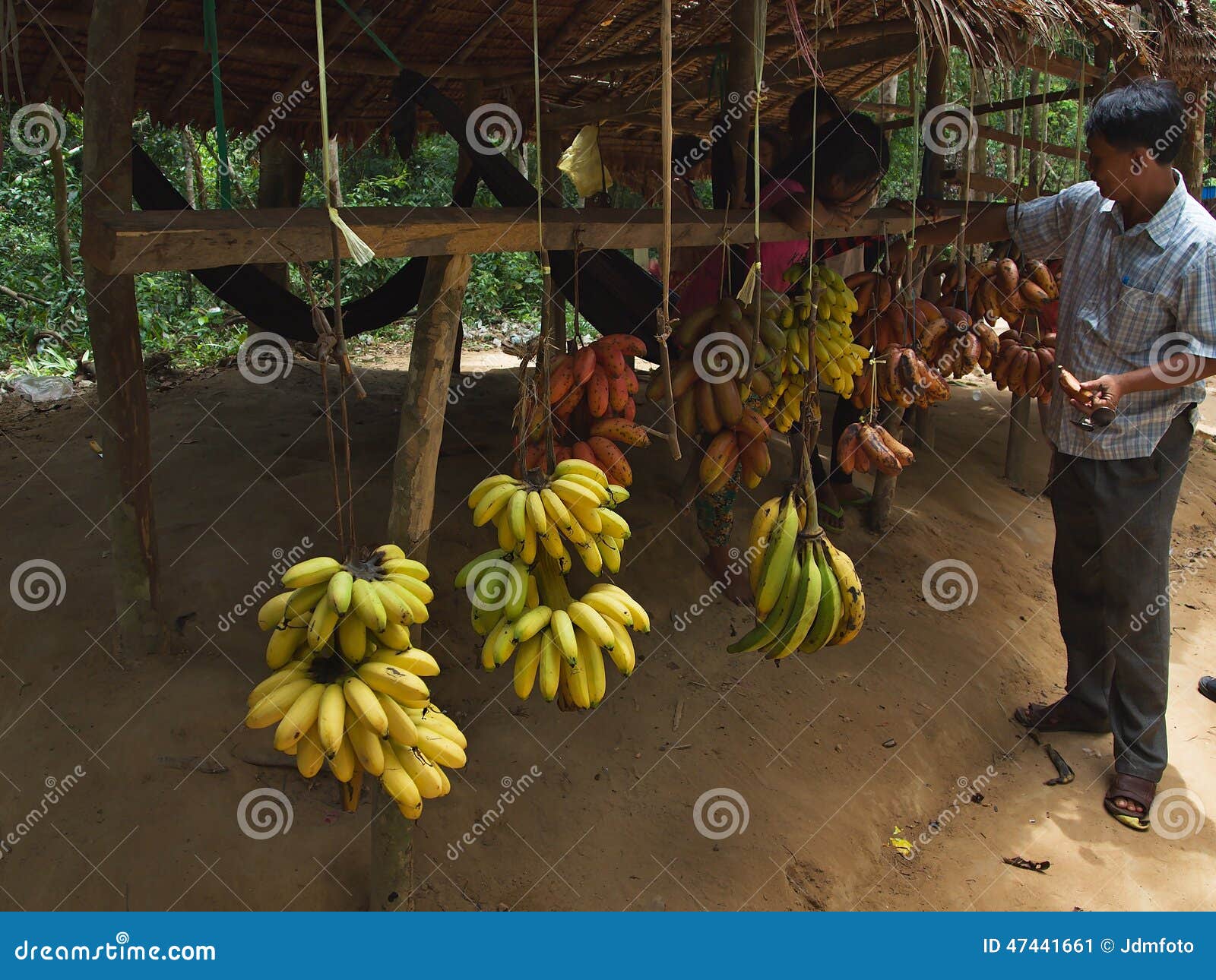 Market with Bananas in Jungle in Cambodia Editorial Photo Image of