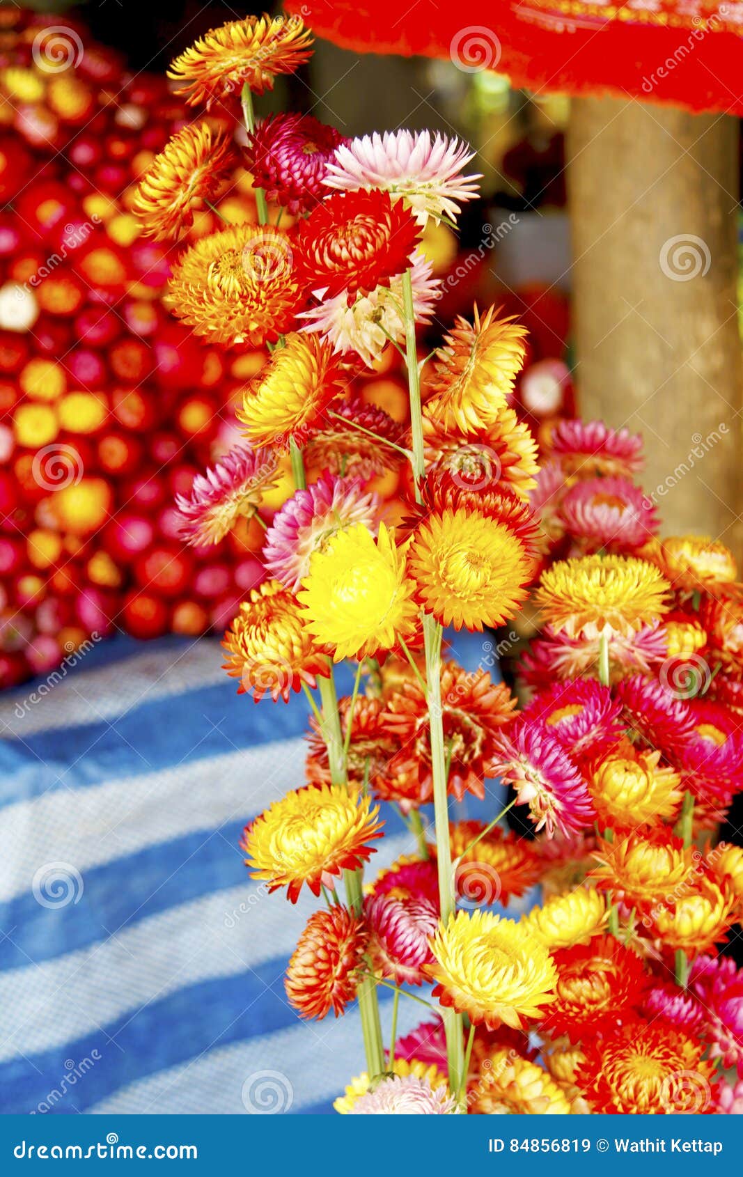 Market flower stock image. Image of farmland, fragrance 84856819