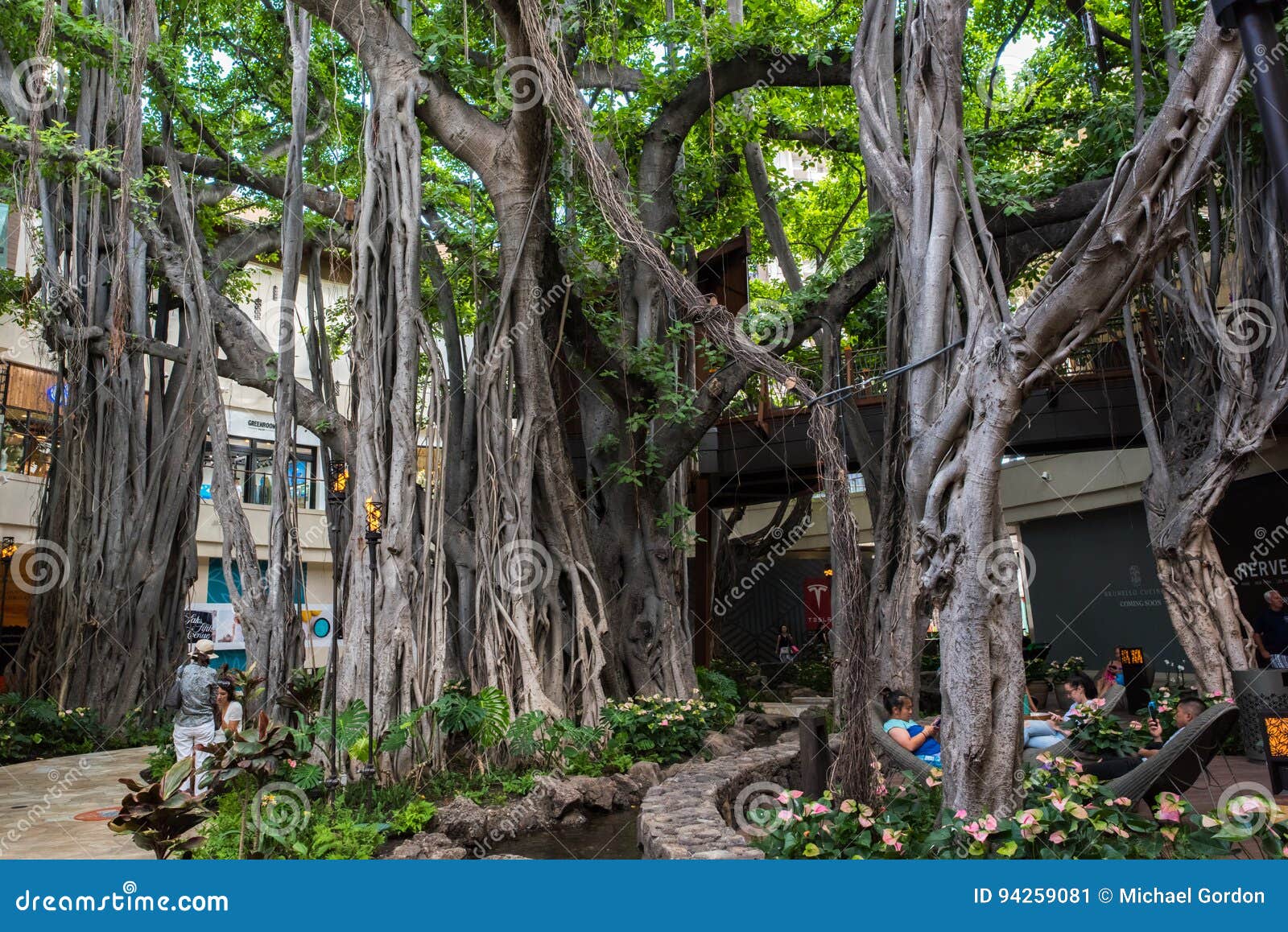 Market Place International à Honolulu Photo éditorial Image du