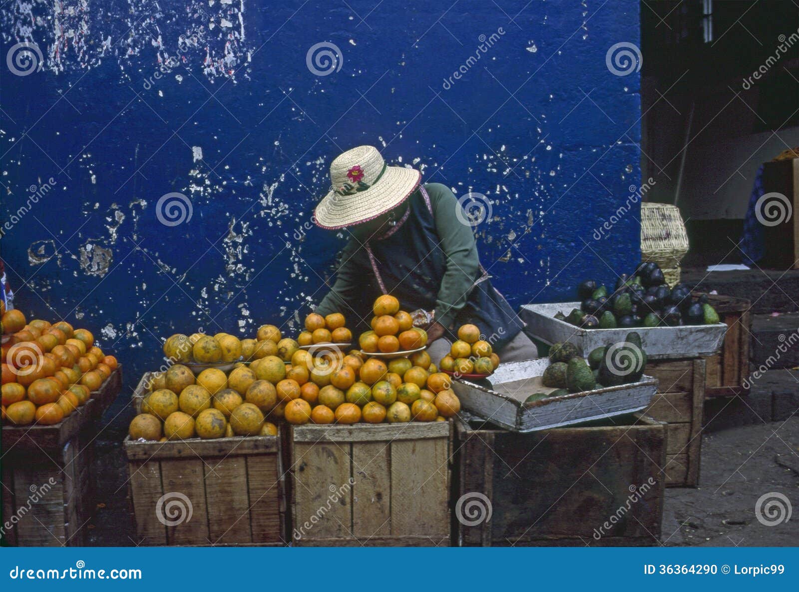 Market, Quito editorial image. Image of oranges, quito 36364290