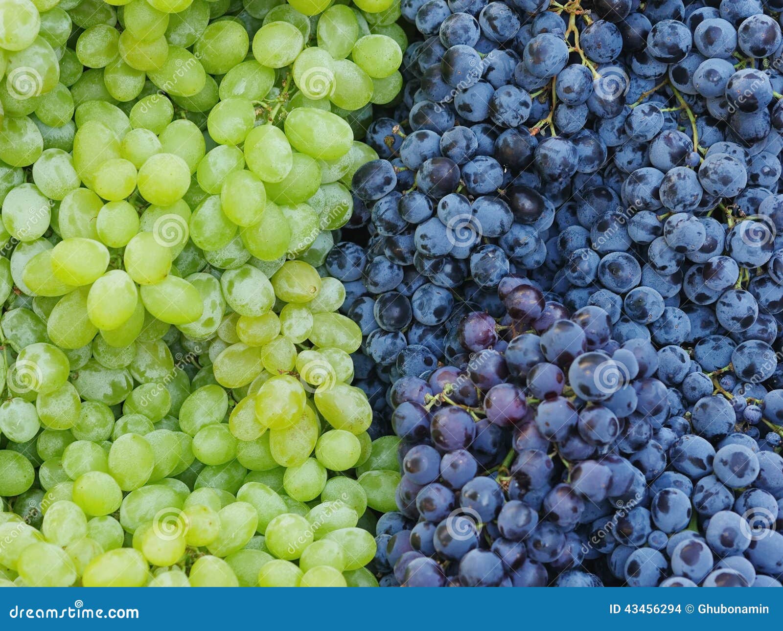Market red wine grapes stock photo. Image of juicy, grocery 43456294