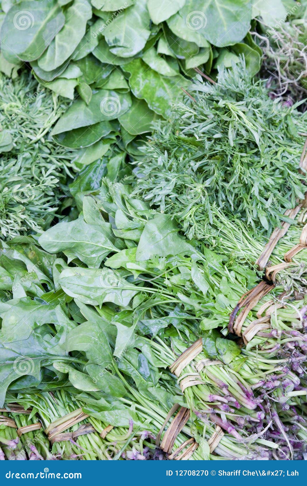 Market Vegetables, Nepal stock photo. Image of food, foods 12708270