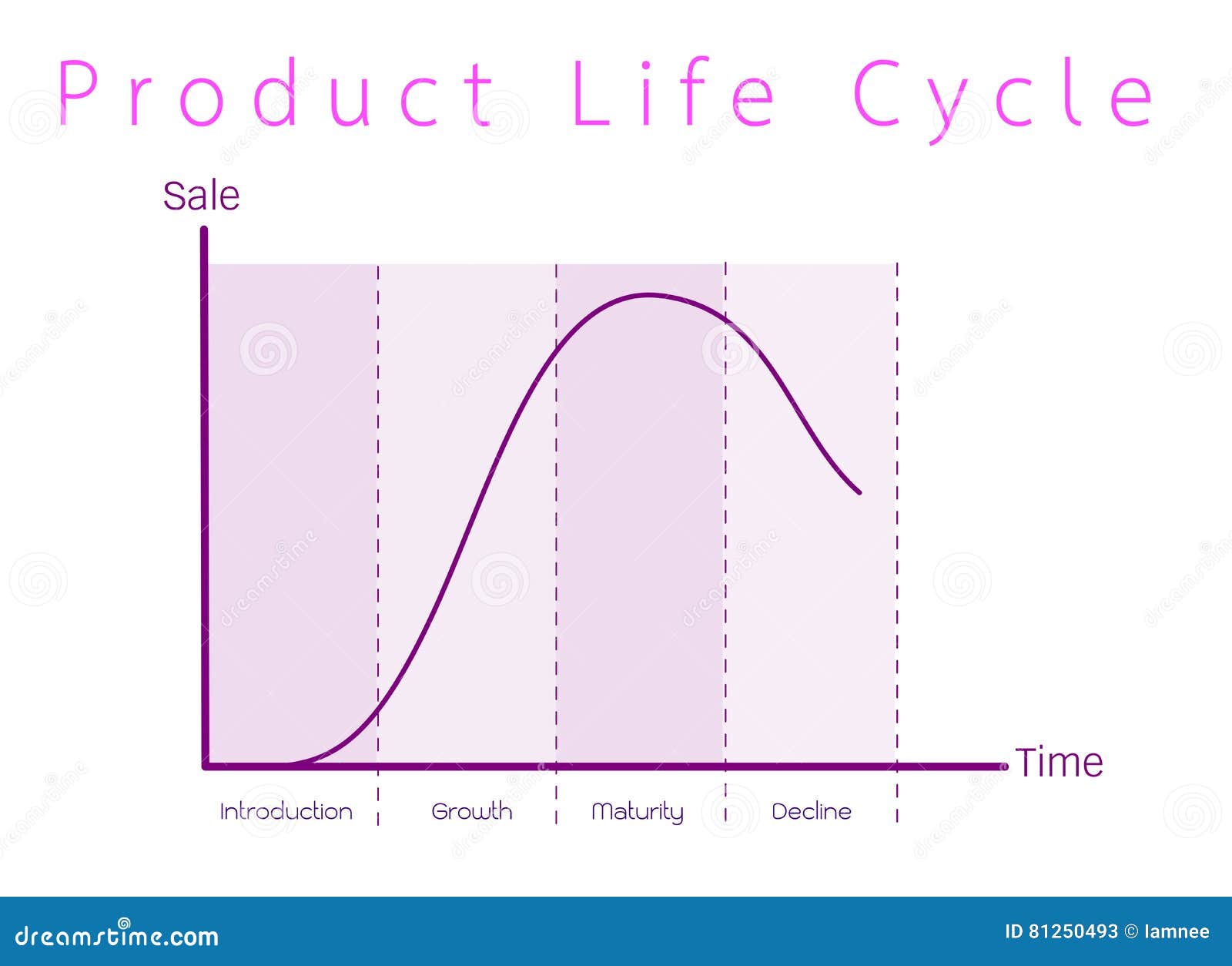 Business Life Cycle Chart