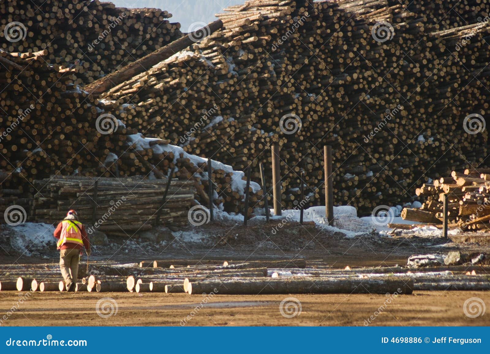 Marking Logs at the Mill stock photo. Image of labor, paper 4698886