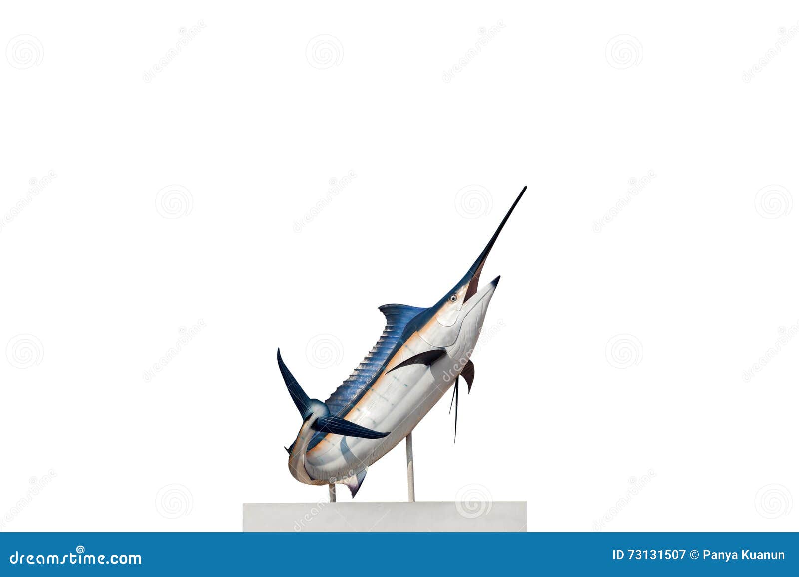 Marlin Swordfish,Sailfish Saltwater Fish (Istiophorus) Isolate Stock