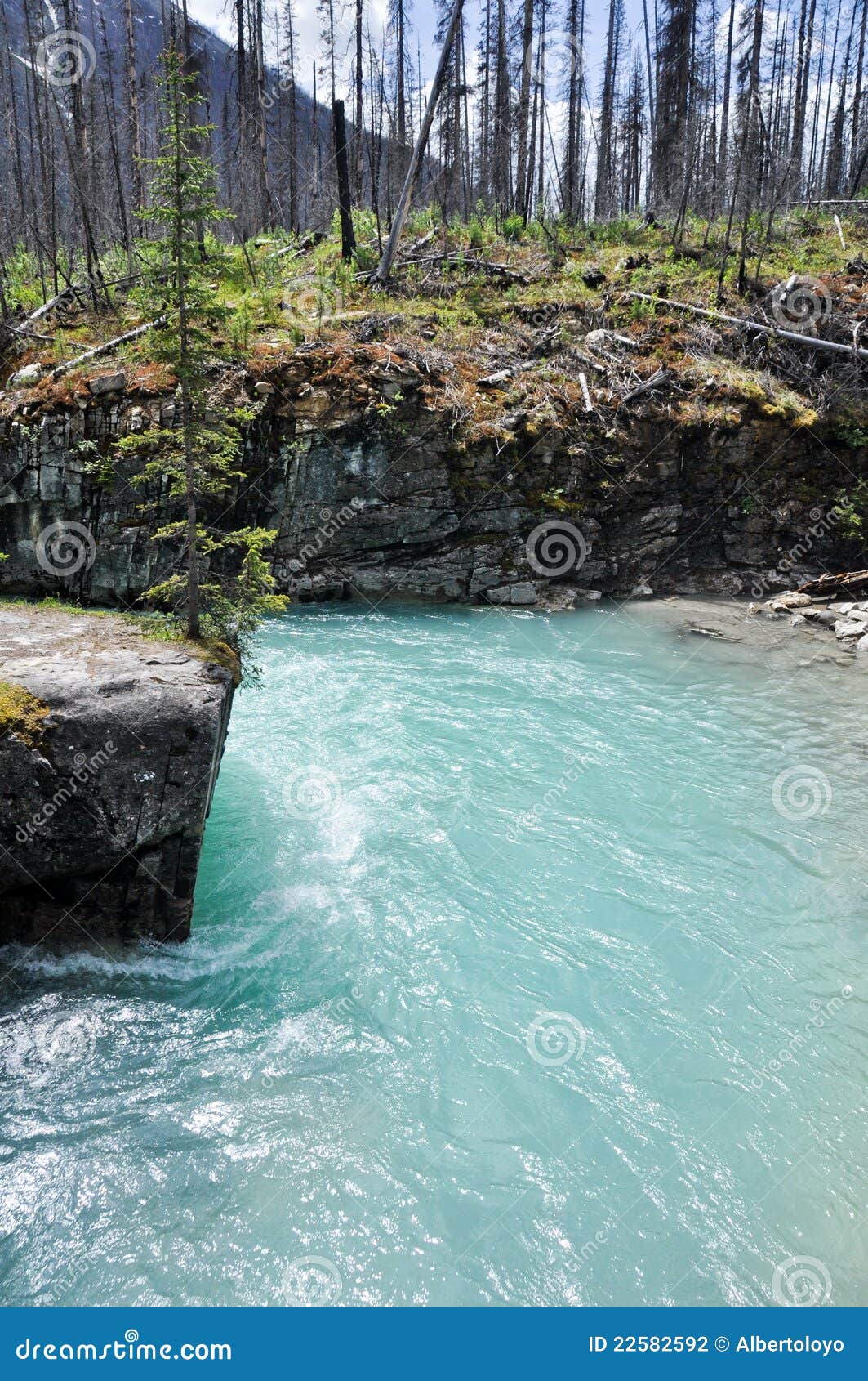 Marmorschlucht Kootenay am Nationalpark (Kanada)