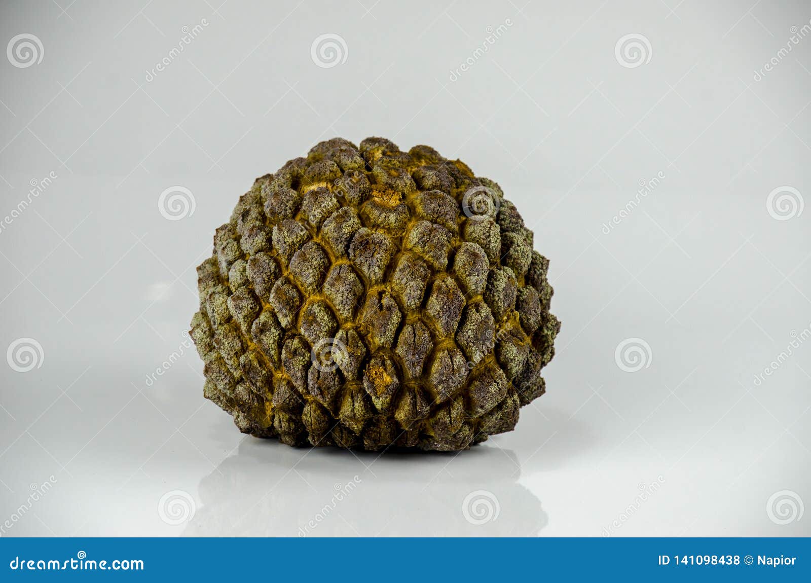 marolo, araticum or bruto fruit . tropical fruit of the original inhabitants of brazil and paraguai. scientific name ; annona