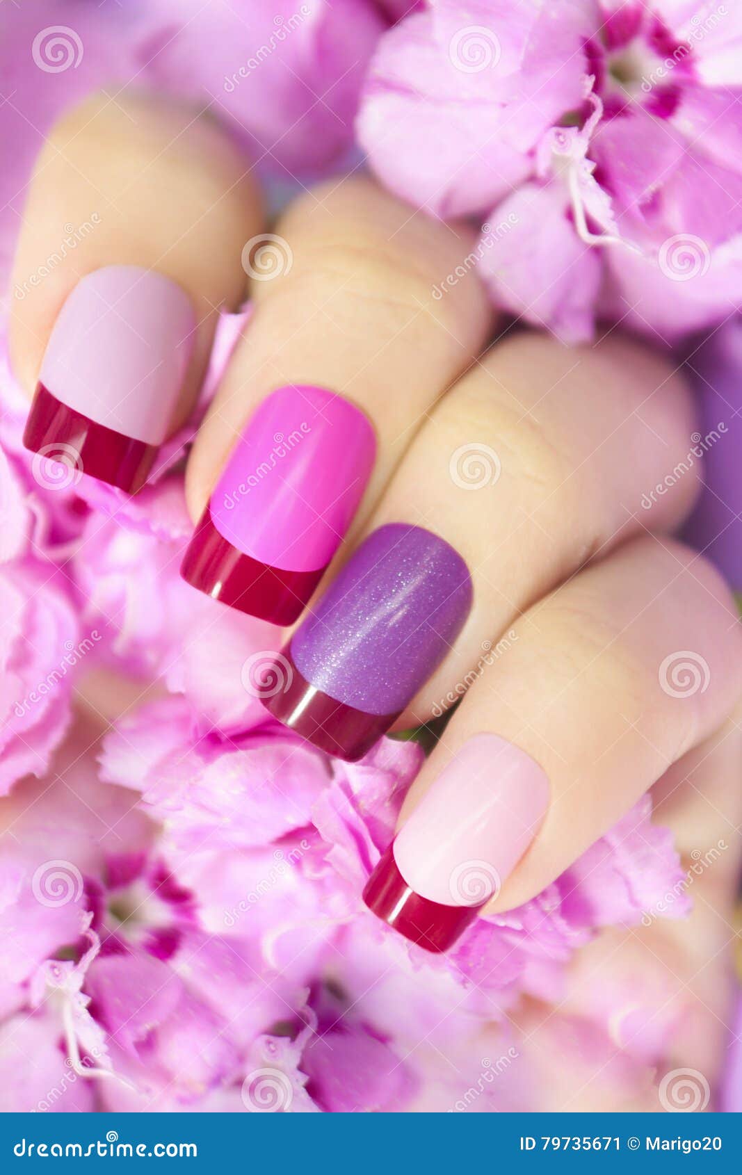 Maroon Pink Multicolored French Manicure. Stock Image - Image of body ...