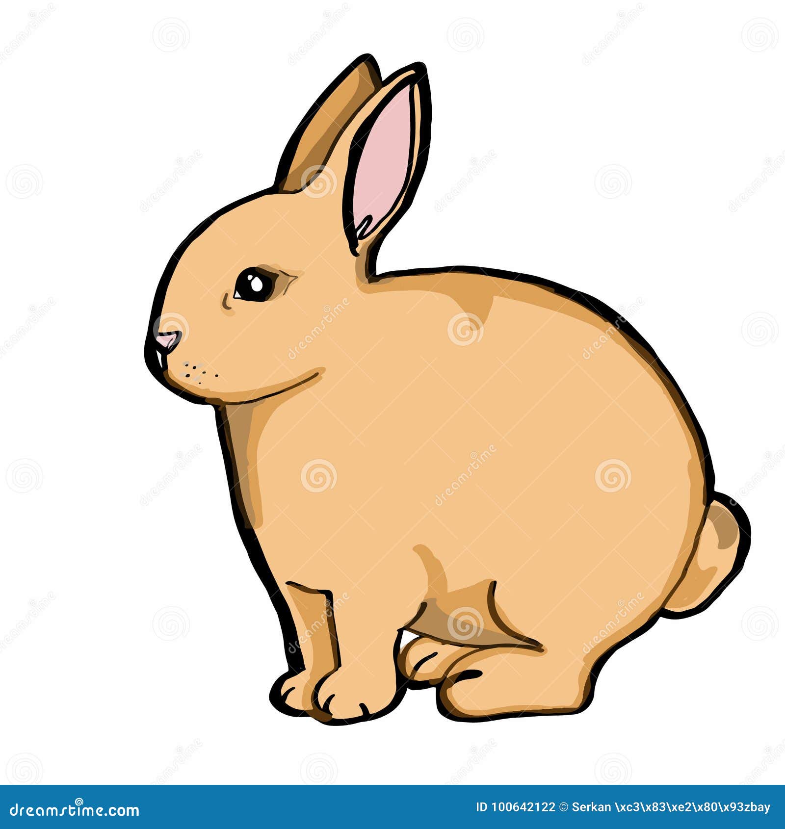 Marrón realista del conejo ilustración del vector. Ilustración de  pensamiento - 100642122