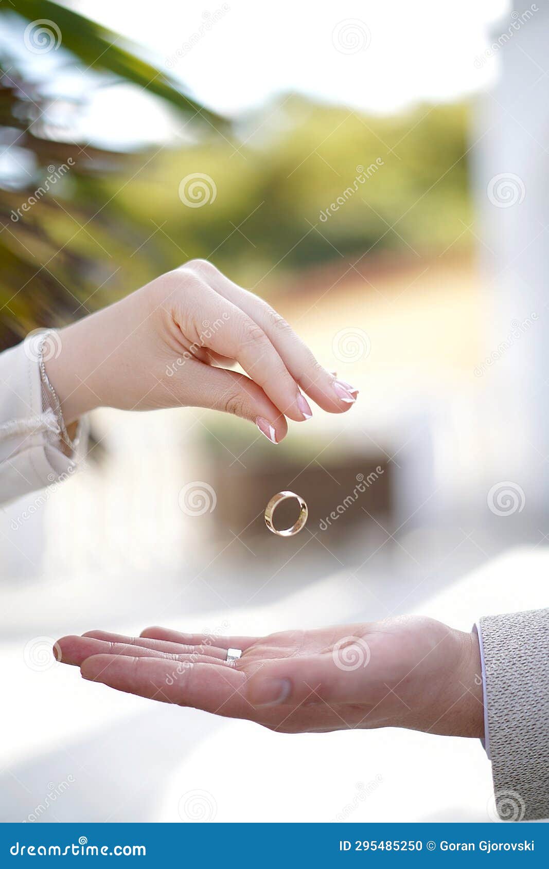 Marriage and divorce rings stock photo. Image of story 295485250