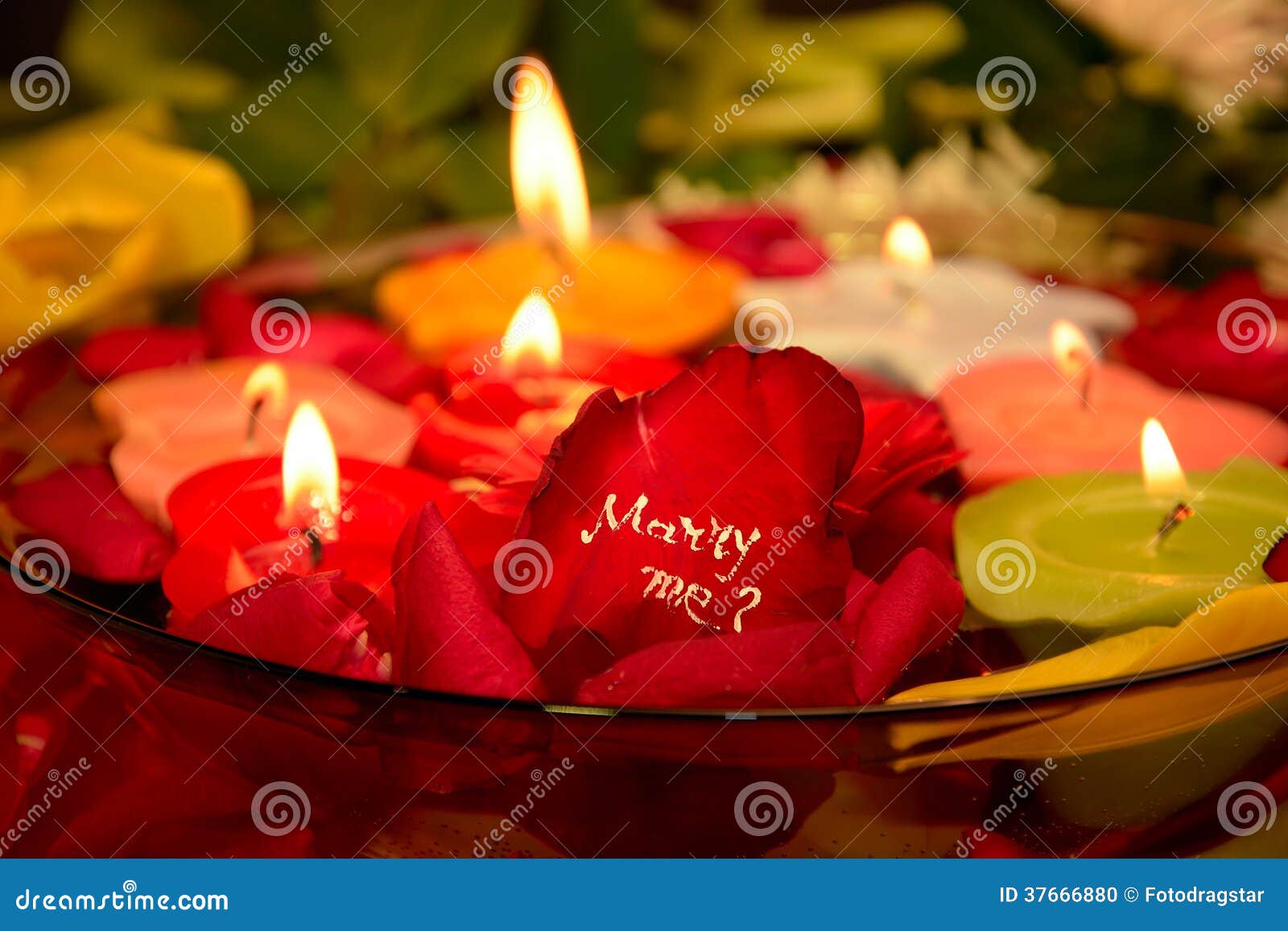 Marriage proposal stock photo. Image of love, jewelry 37666880