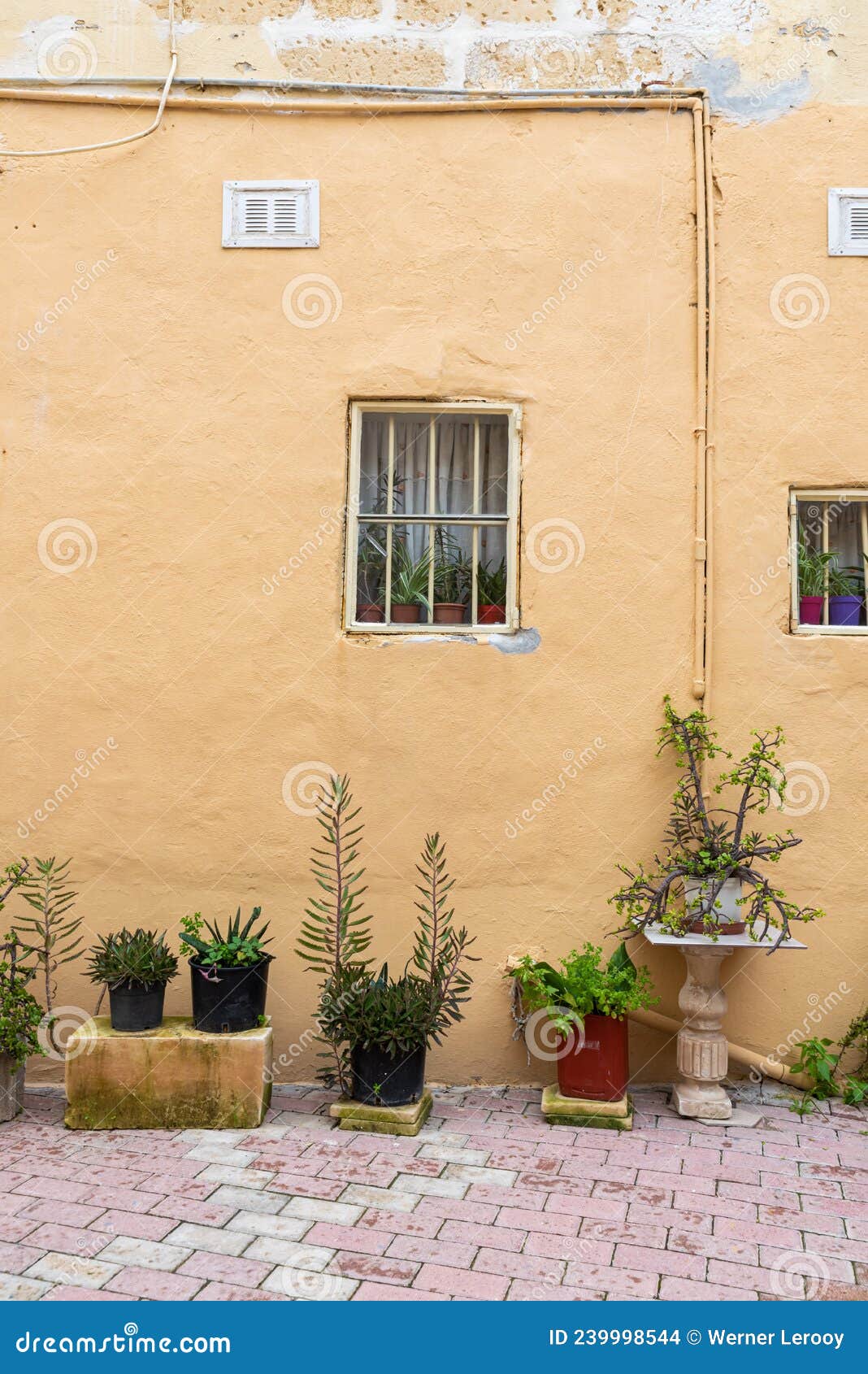 Yellow Facade an Pottery Plants of a Residential House Editorial Stock ...