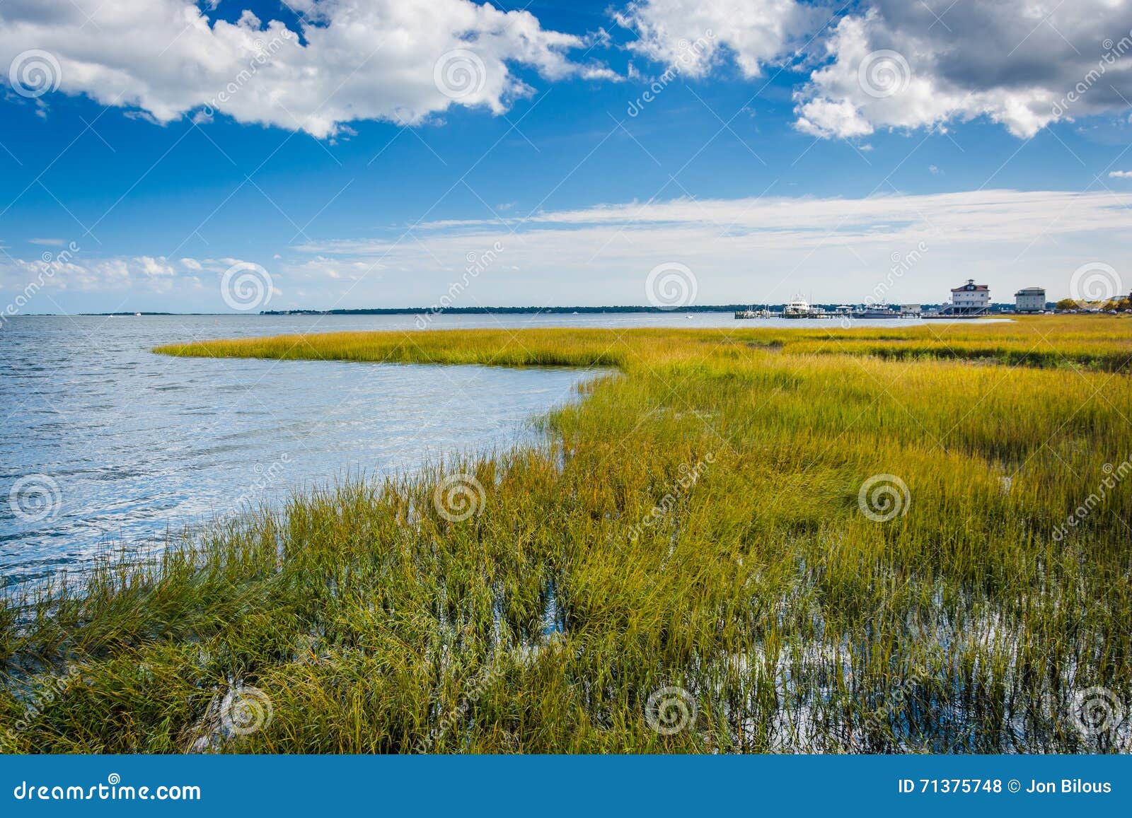 Marsh in Charleston, South Carolina. Stock Photo Image of beautiful, blue 71375748