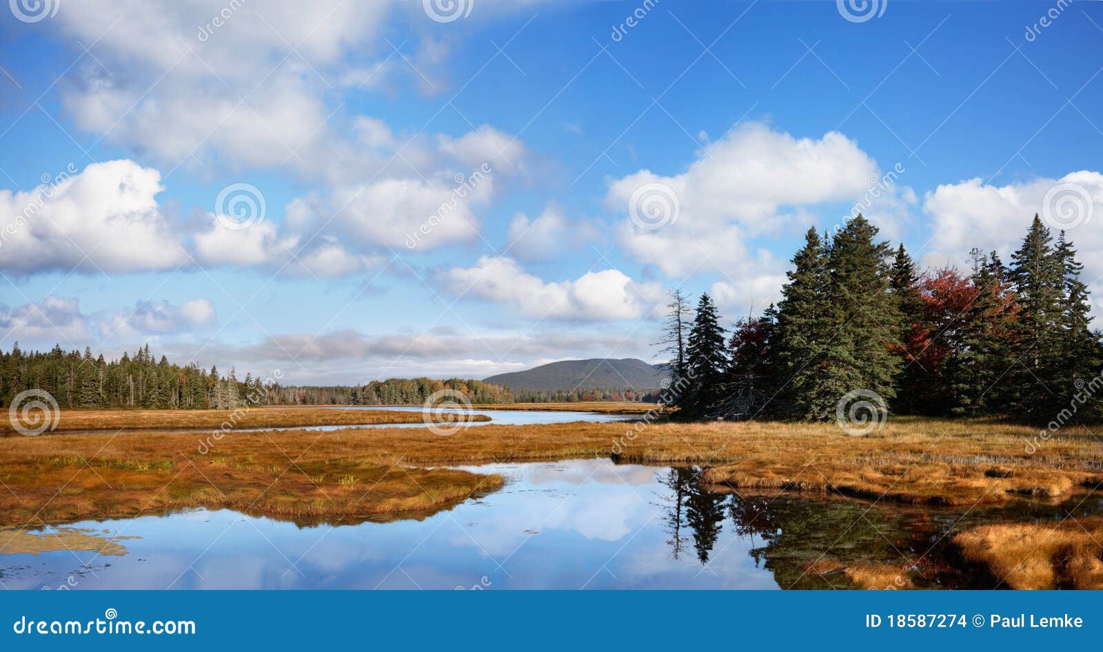 marshall brook panorama