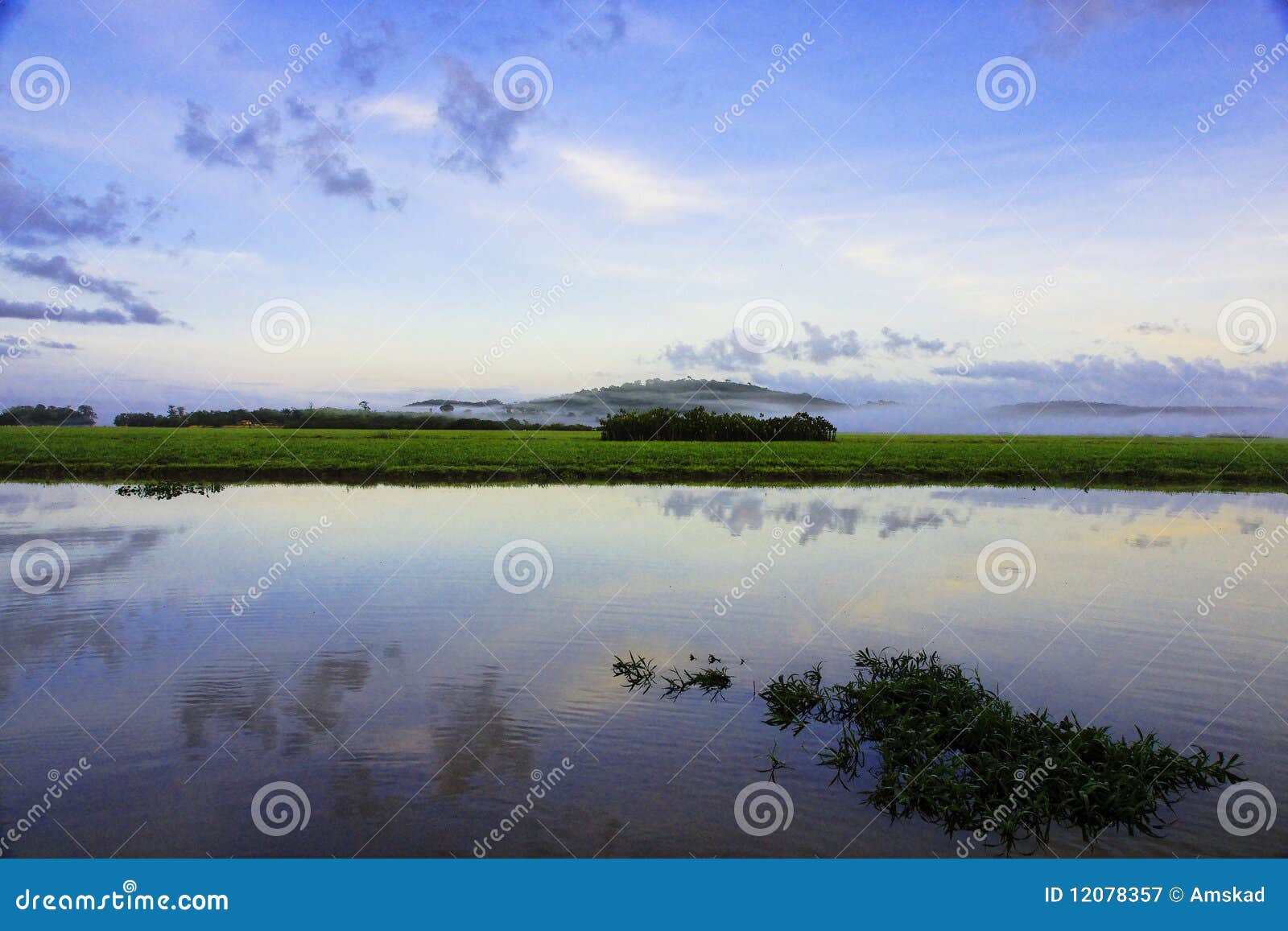 Marshes Kaw in French Guyana Stock Image Image of marshes