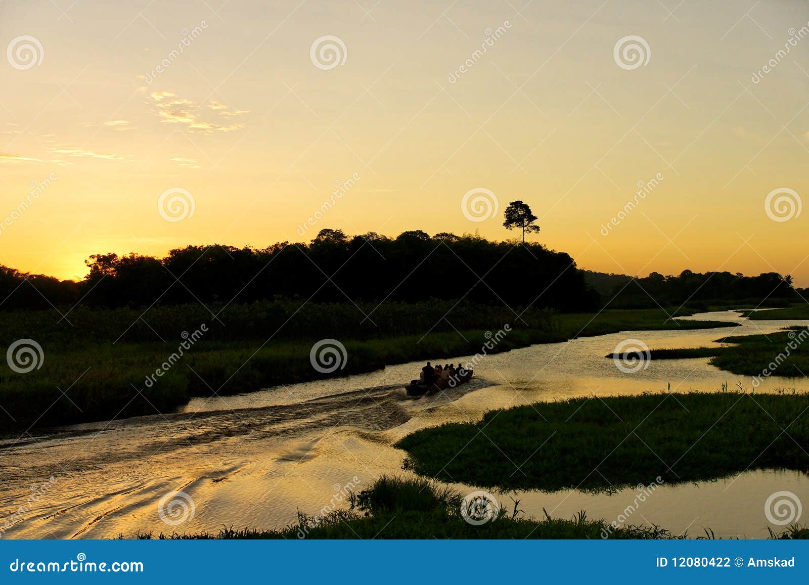 Marshes Kaw in French Guyana Stock Photo Image of environment