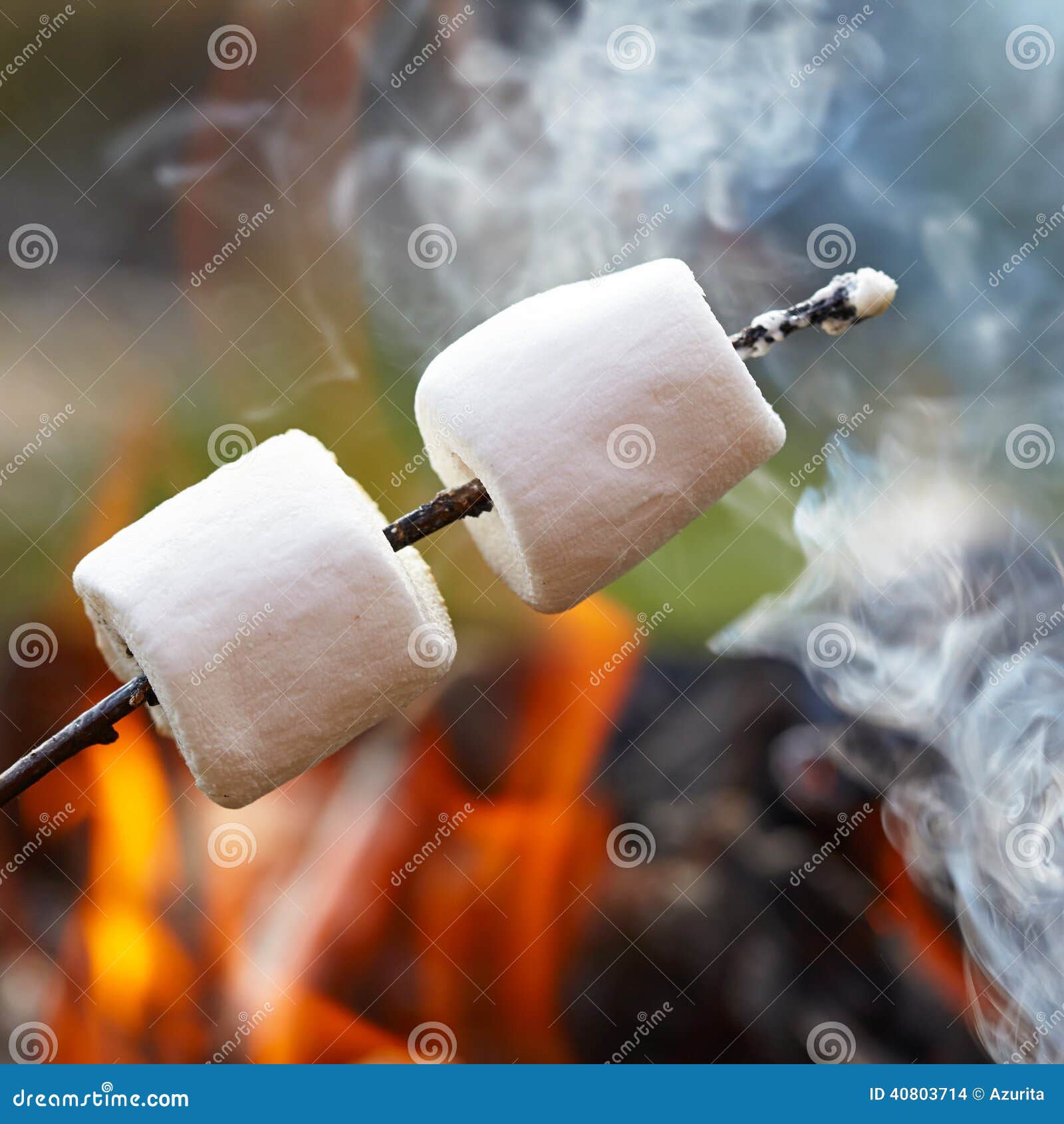 Marshmallow on a stick stock photo. Image of dessert 40803714