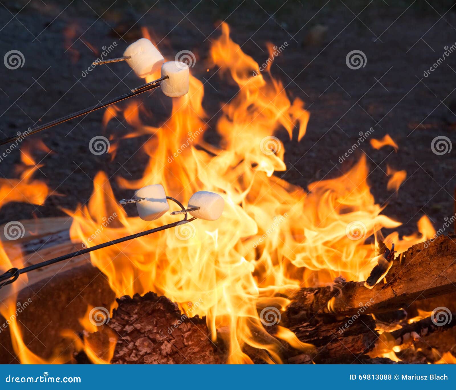 Marshmallows. Caramelle gommosa e molle di torrefazione sopra il fuoco di accampamento