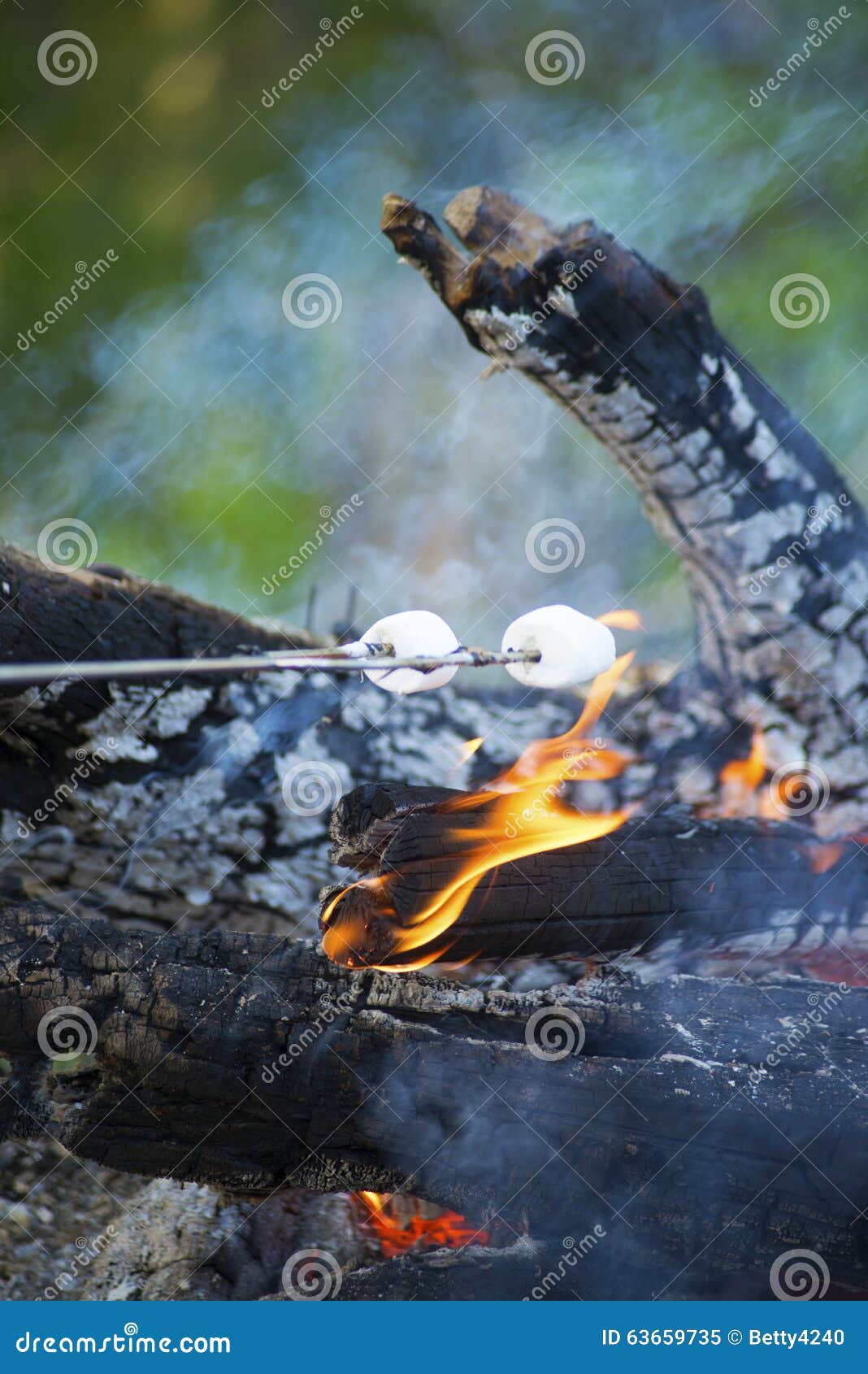 Marshmellows on a Steel Rod Roasting Over an Open Fire. Stock Image