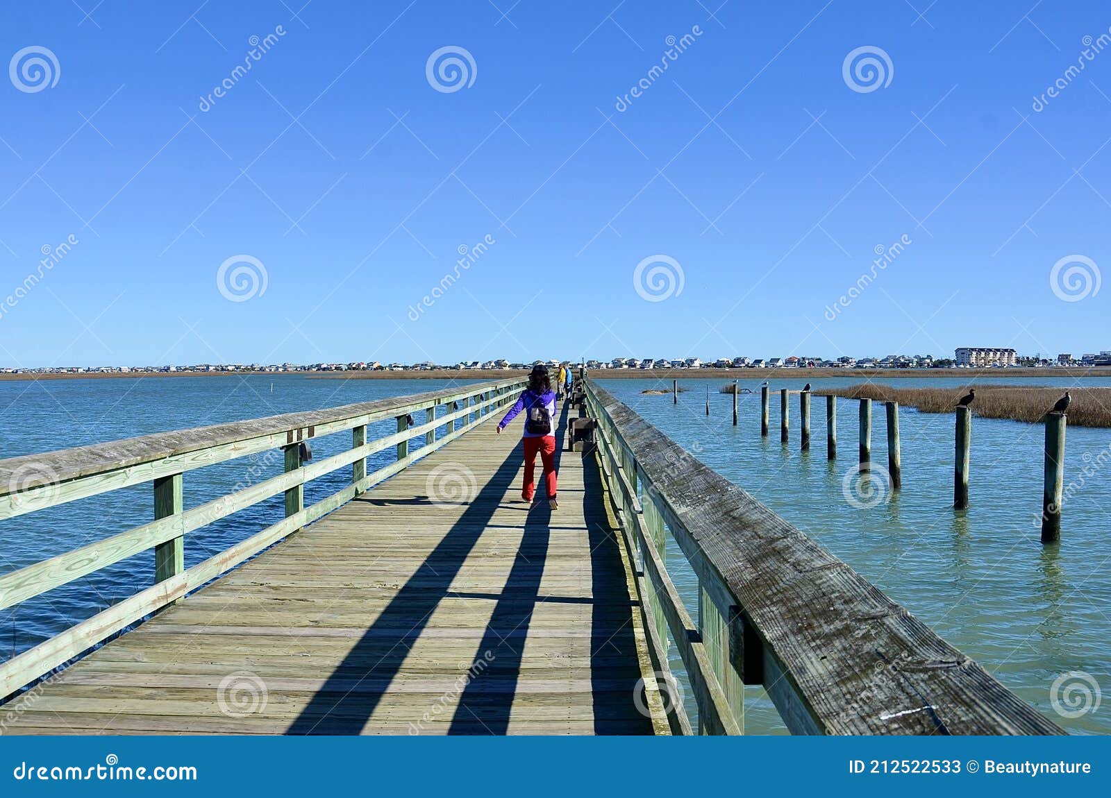 the marshwalk - wooden boardwalk, south carolina