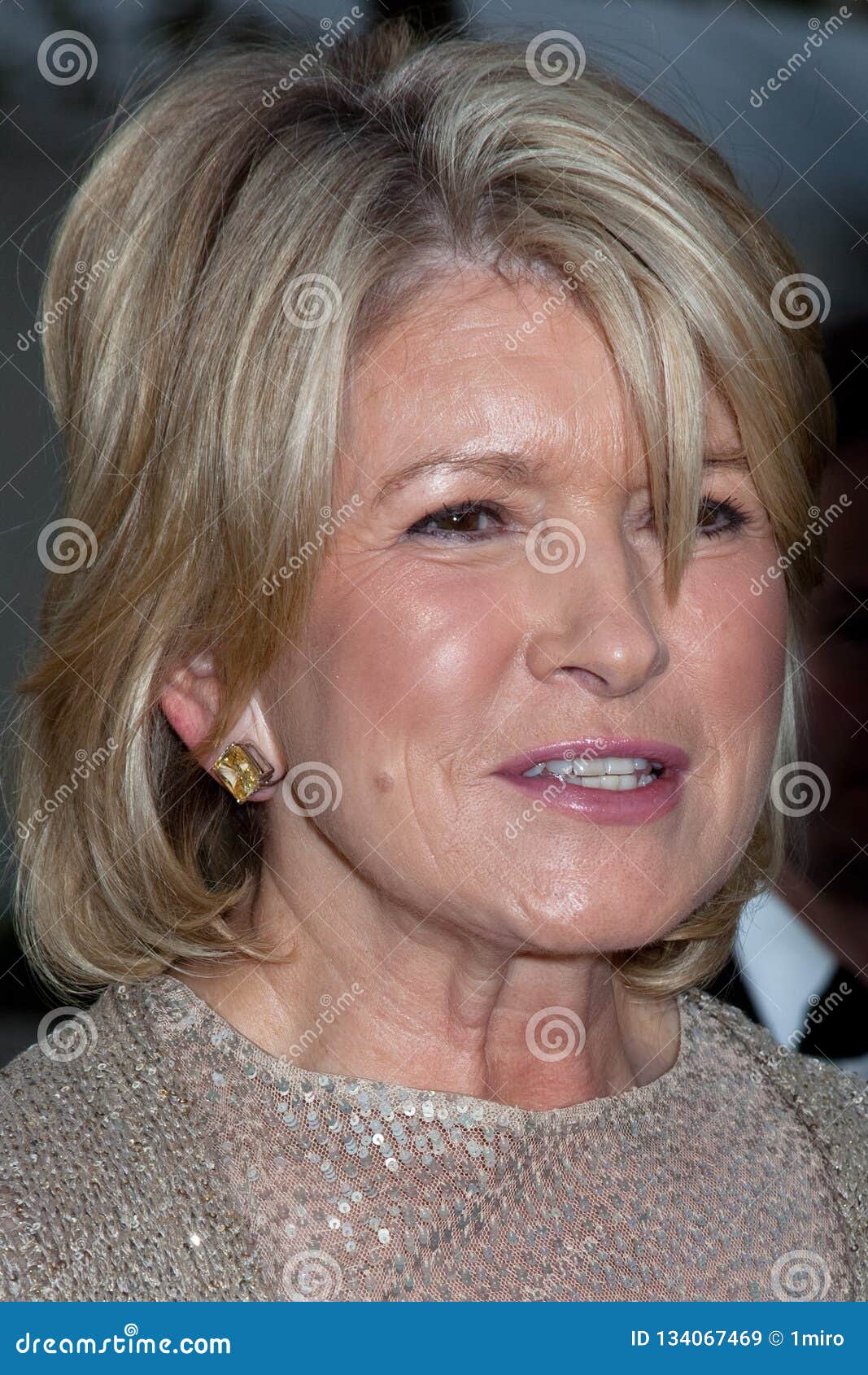 Martha Stewart Editorial Stock Photo - Stock Image