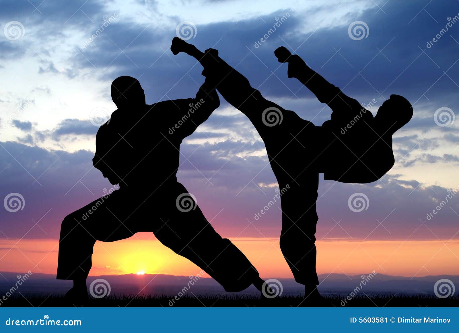 Martial art stock illustration. Illustration of fight - 5603581