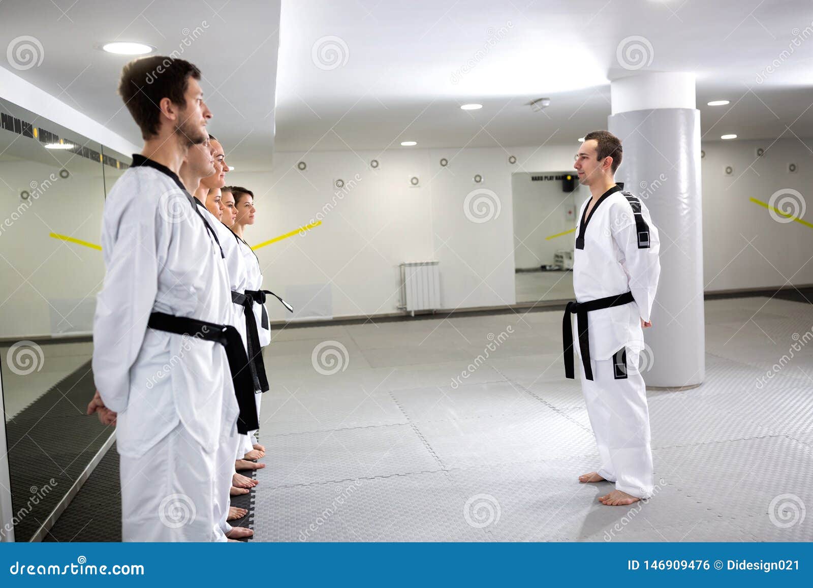 Martial Art Master Lining Up His Taekwondo Students Stock Photo Image of attack, fight 146909476
