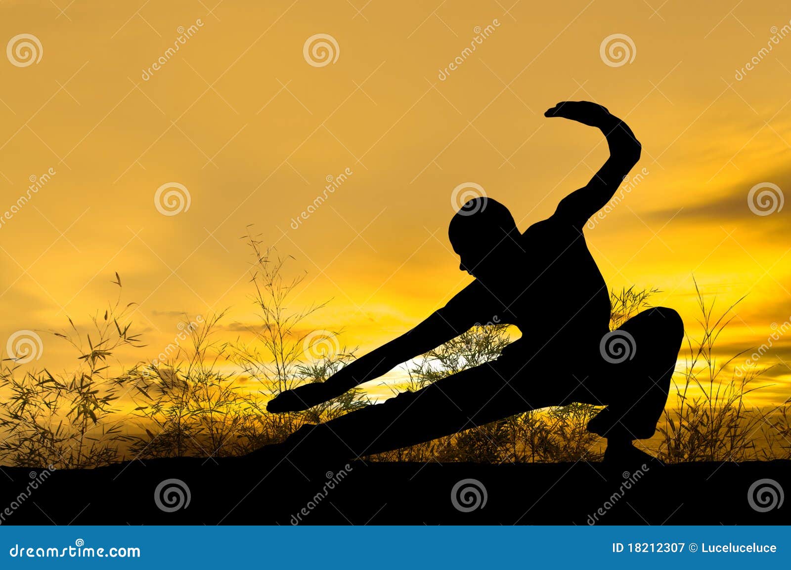 Martial Arts stock image. Image of arts, dramatic, kungfu 18212307