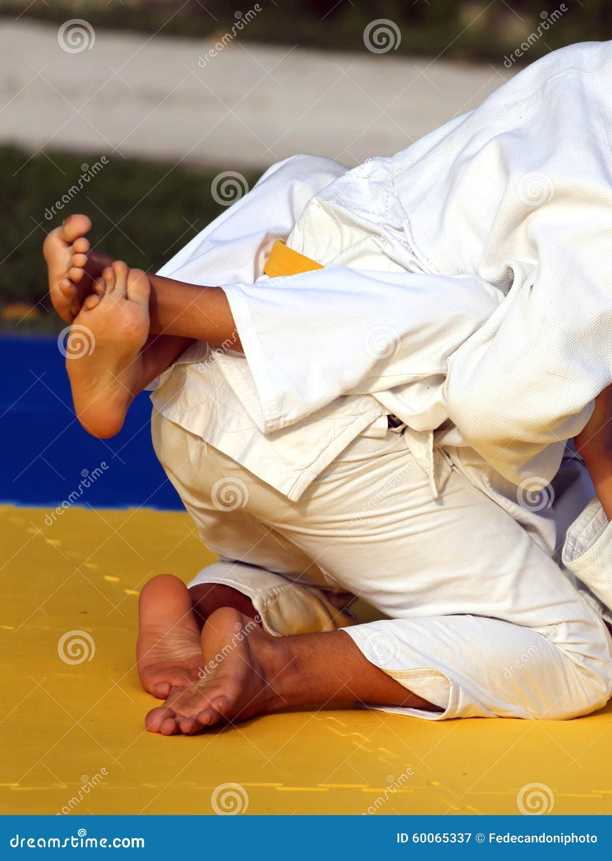Martial arts combat stock image. Image of health, hand 60065337
