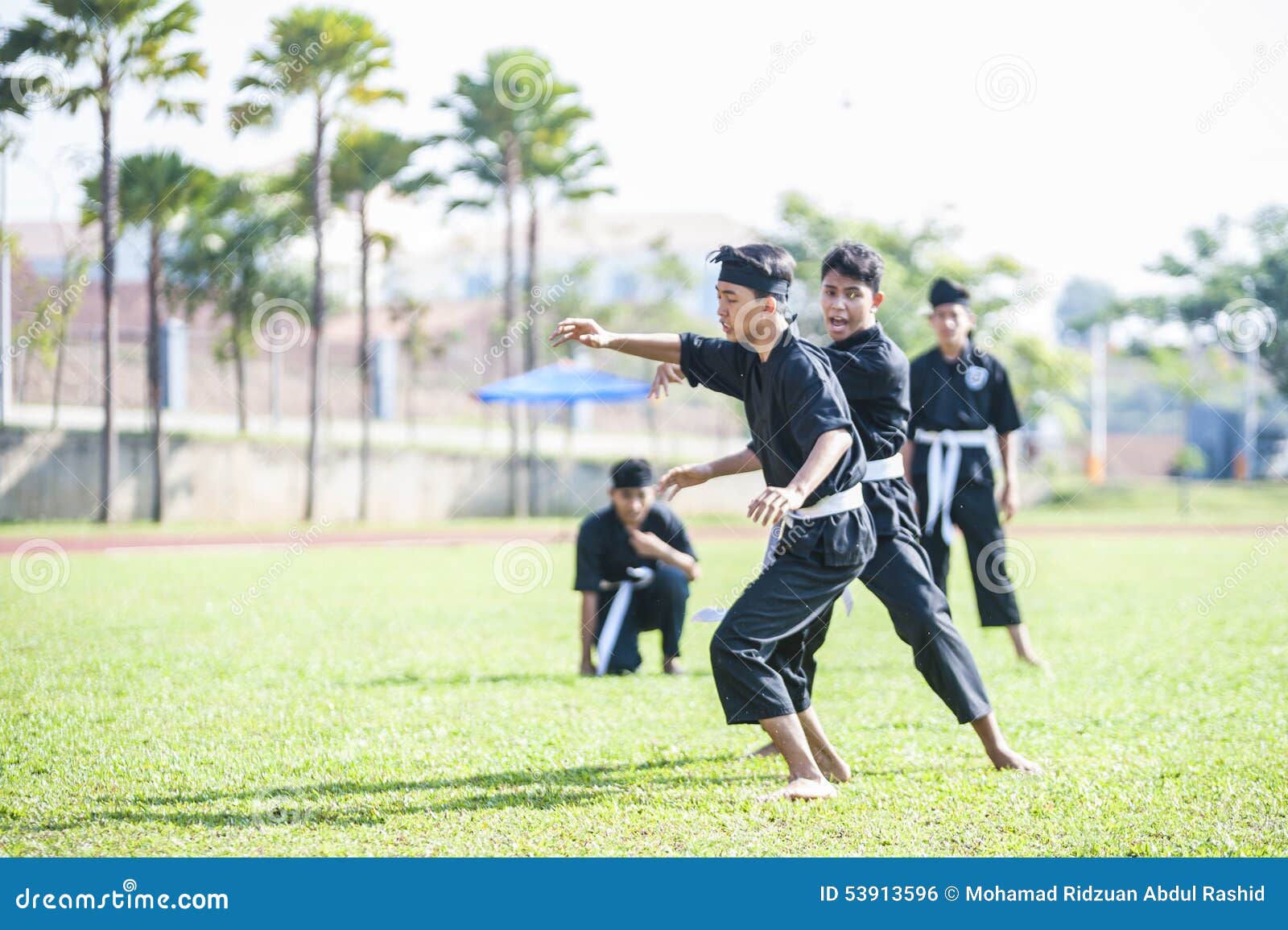 Martial Arts Demonstration editorial photo. Image of silat
