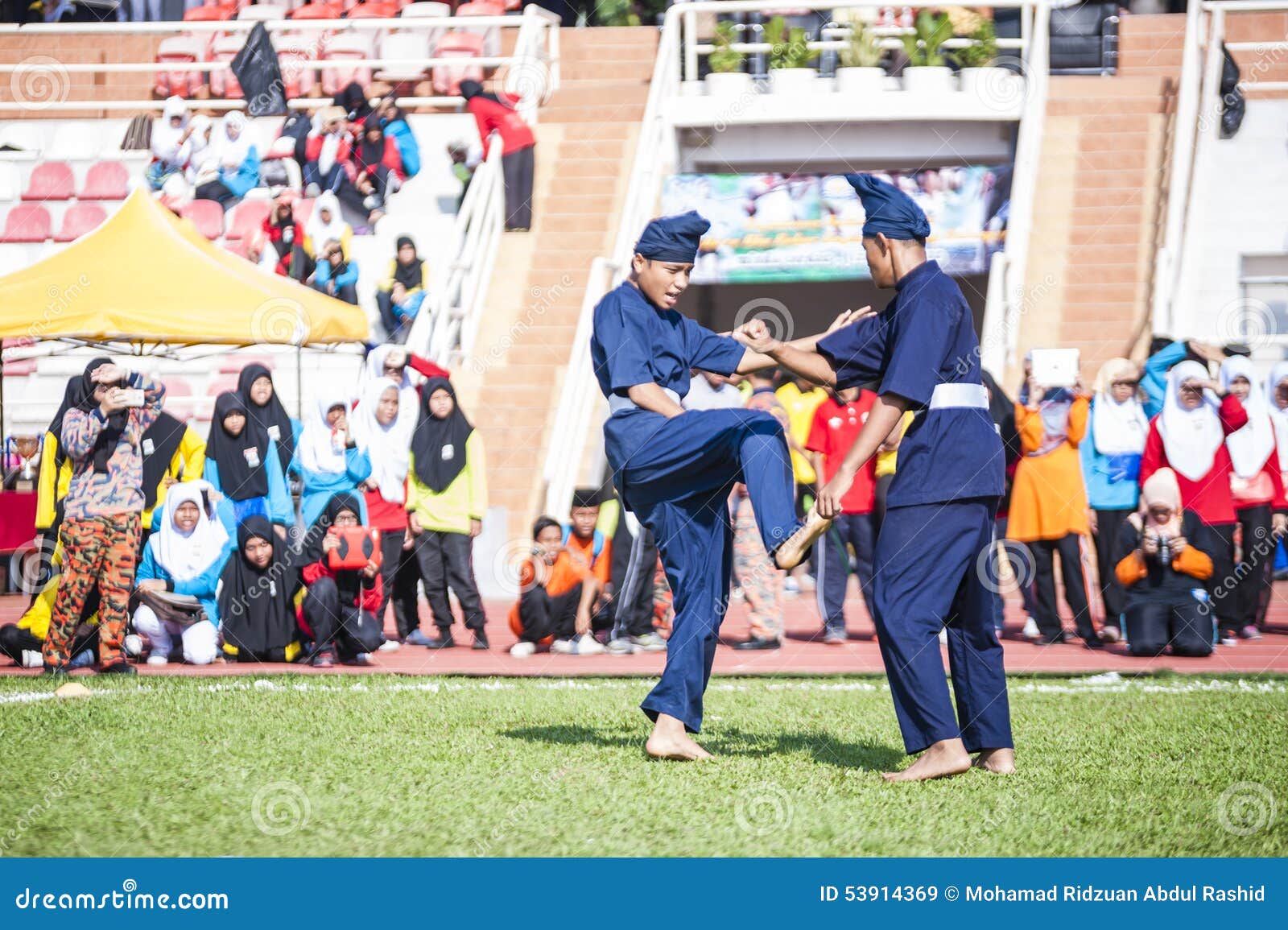 Martial Arts Demonstration editorial stock image. Image of male 53914369