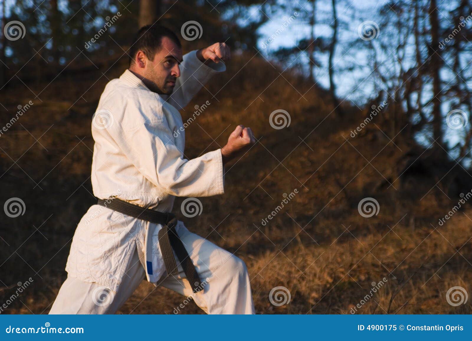 Martial arts fighter stock image. Image of nature, exercise 4900175
