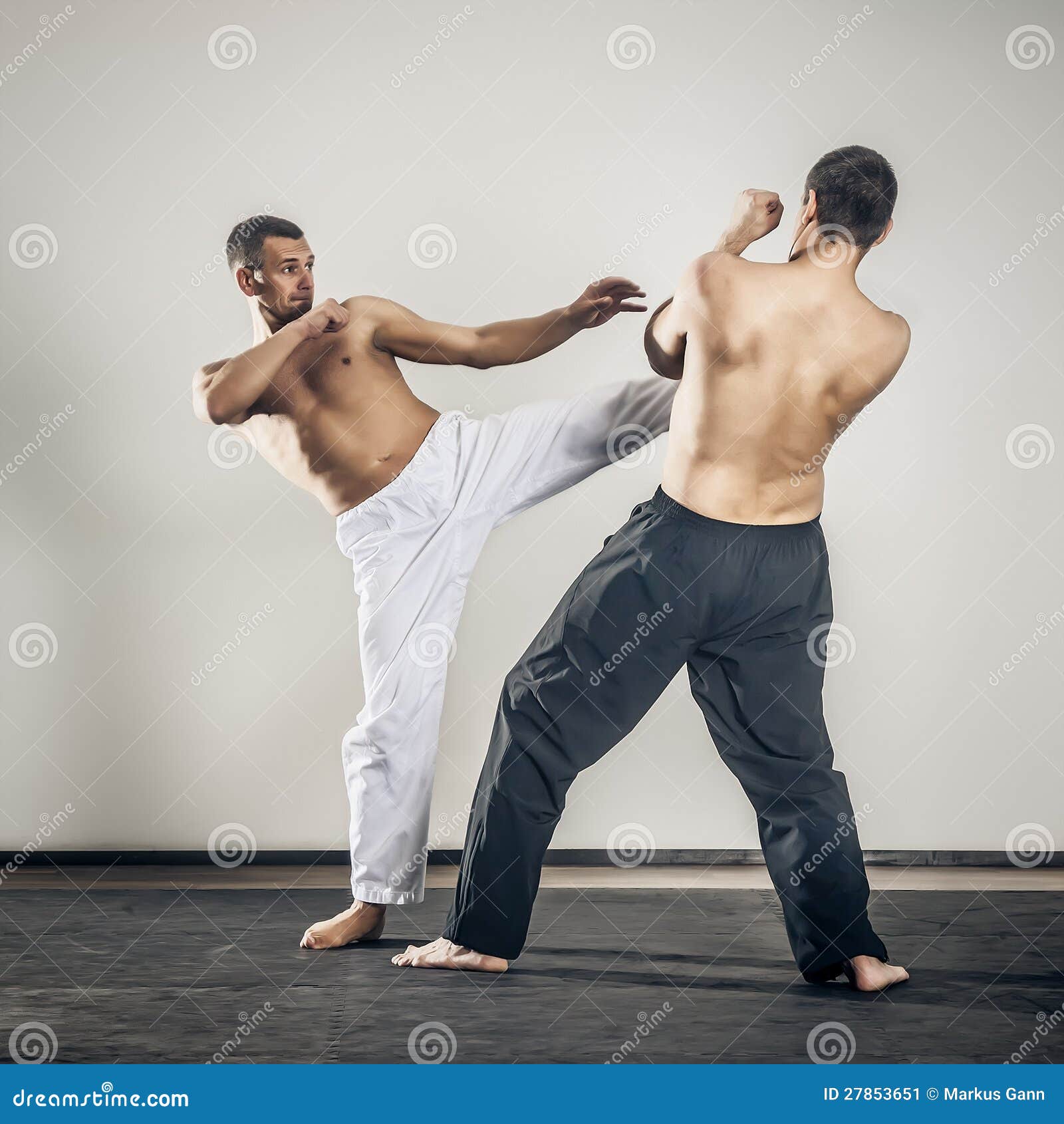 Master Of Martial Arts Has An Advanced Optical Brain Martial arts master stock image. Image of fighter, personal - 27853651