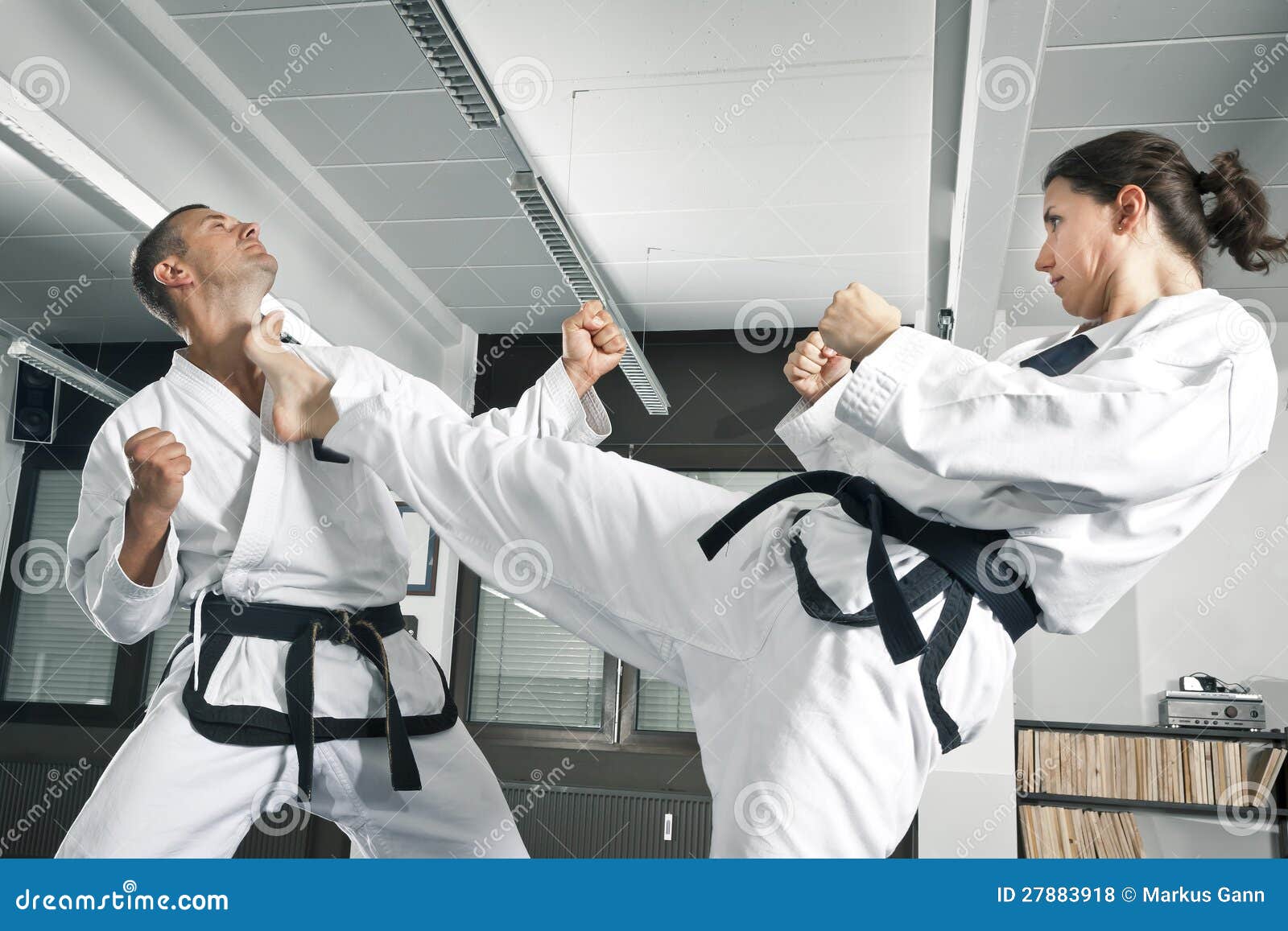 Martial arts master stock photo. Image of action, high 27883918