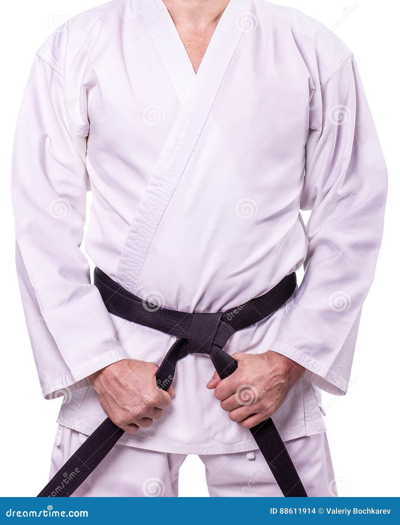 Martial Arts Master with Black Belt Stock Photo Image of knot
