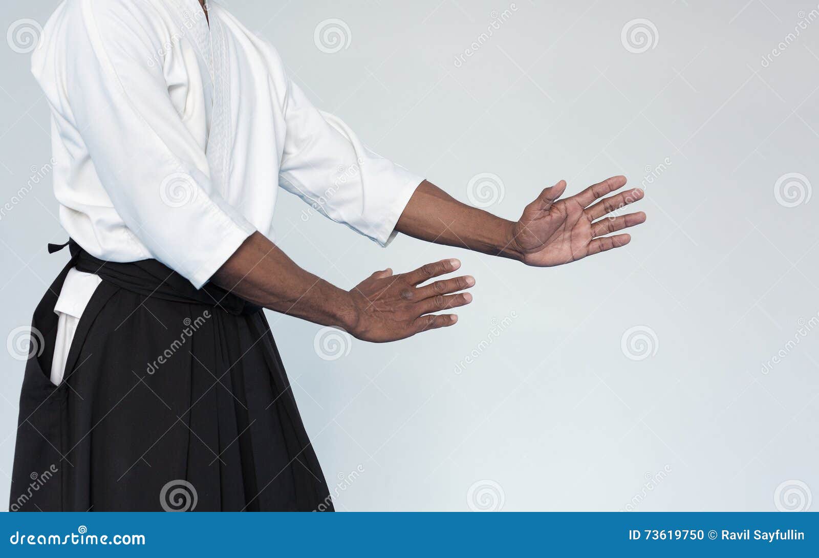 Martial Arts Master in Black Hakama Stock Photo Image of japan, kata 73619750