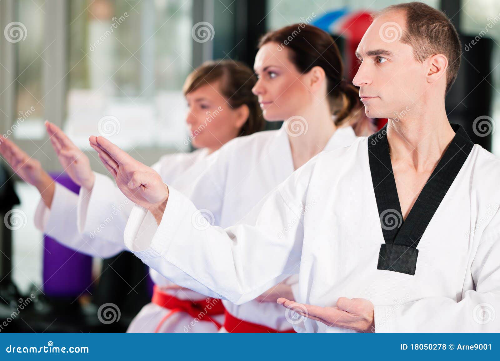 Martial Arts Sport Training in Gym Stock Photo Image of taekwondo