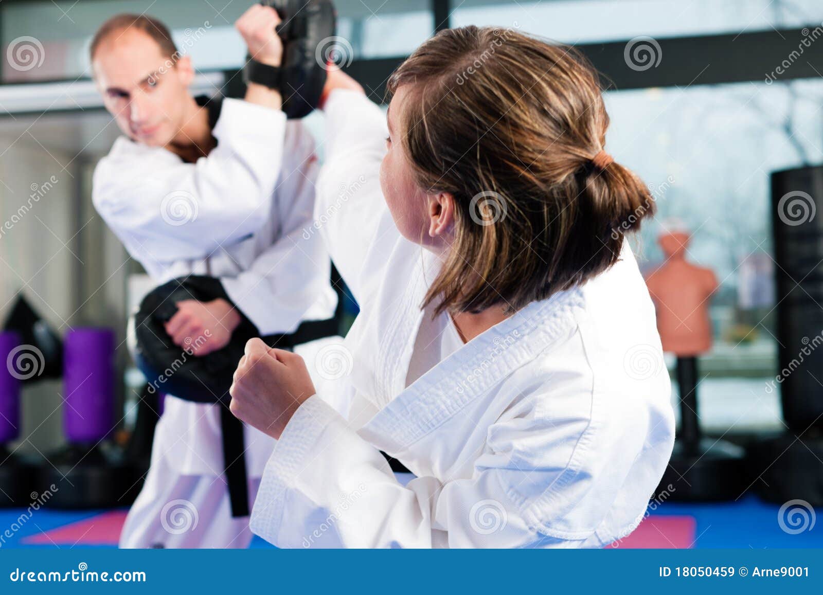 Martial Arts Sport Training in Gym Stock Image Image of chagi, people