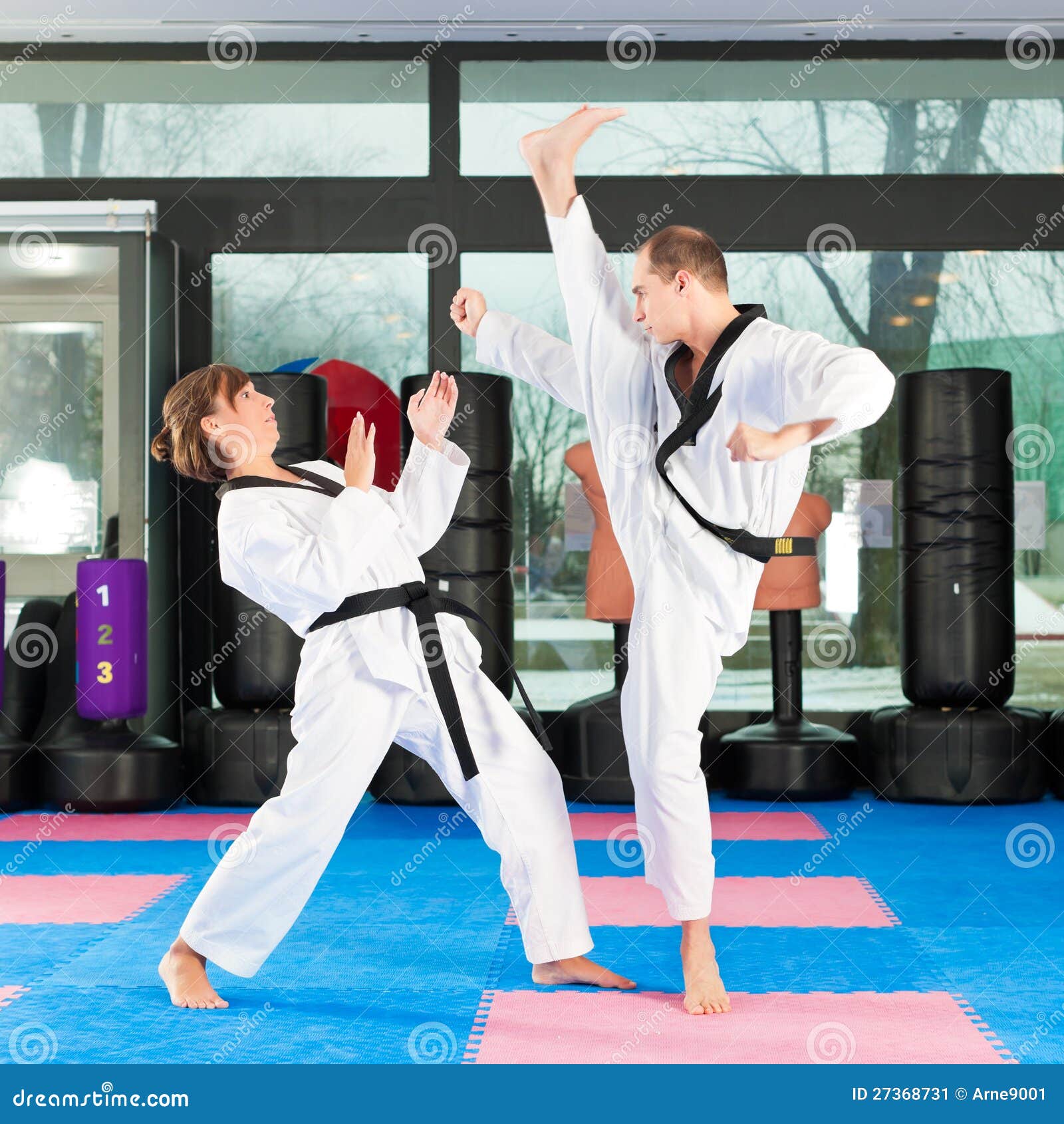 Martial Arts Sport Training in Gym Stock Image Image of club, belt