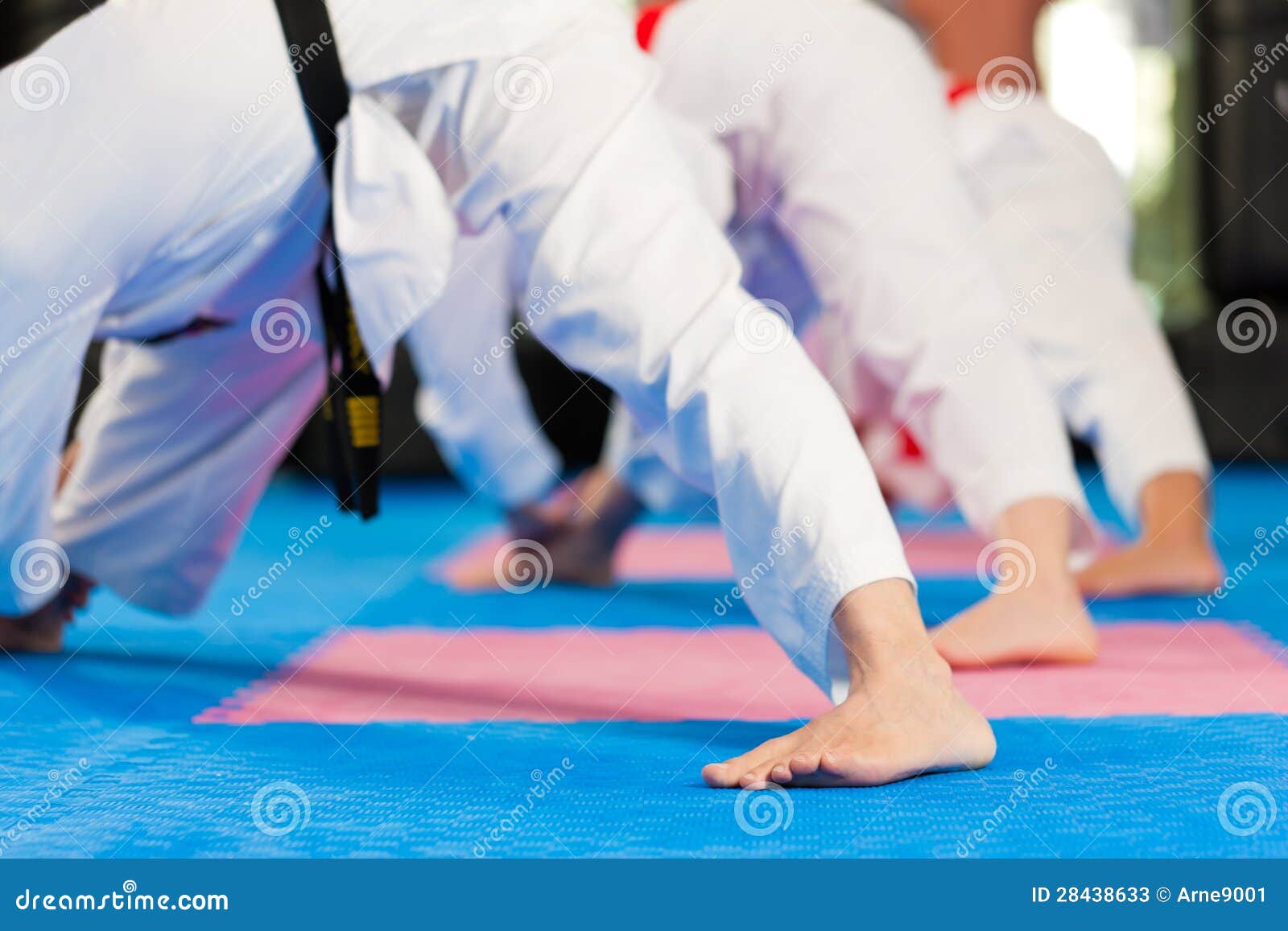 Martial Arts Sport Training in Gym Stock Image Image of selfdefense