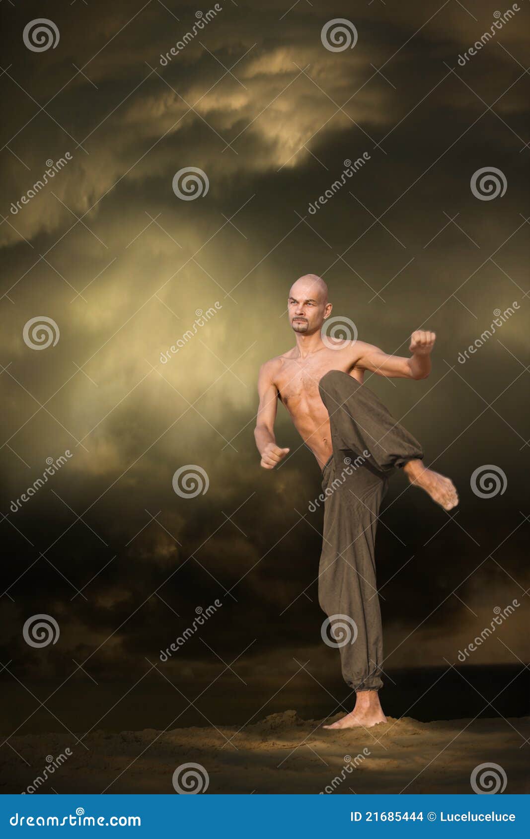 Martial Arts Sports Training Stock Photo Image of fist, kung 21685444