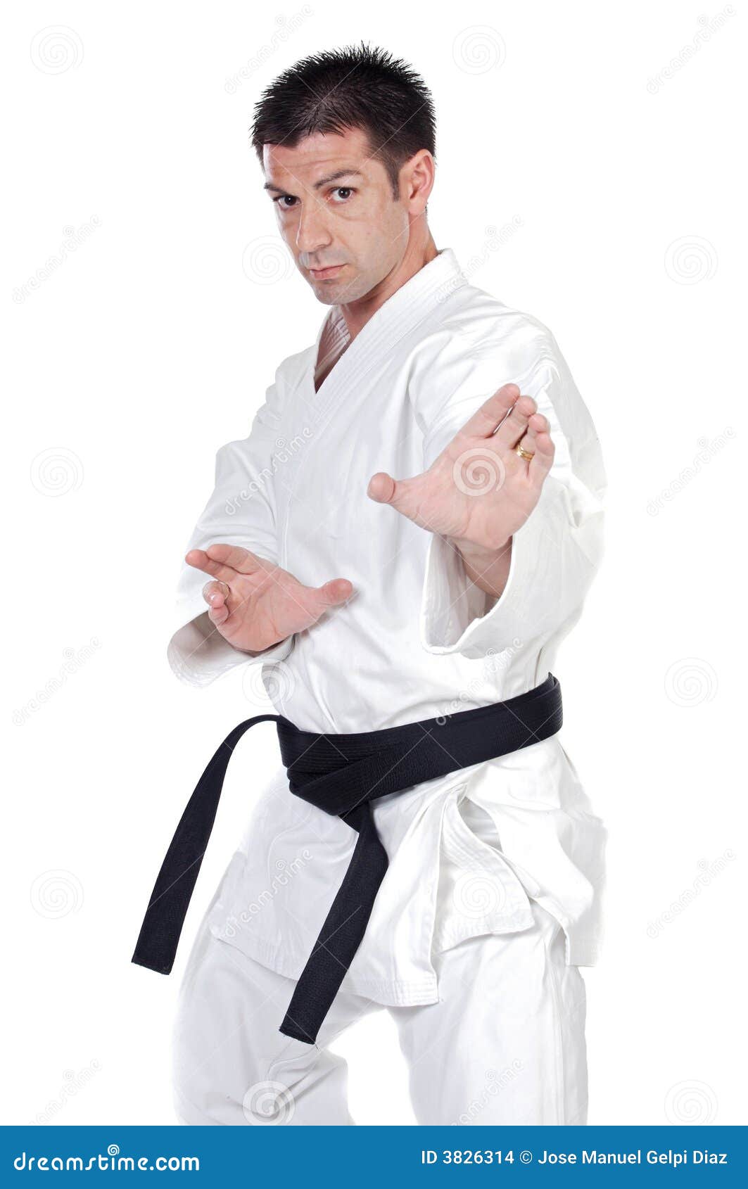 Martial arts stance stock photo. Image of martial, background 3826314