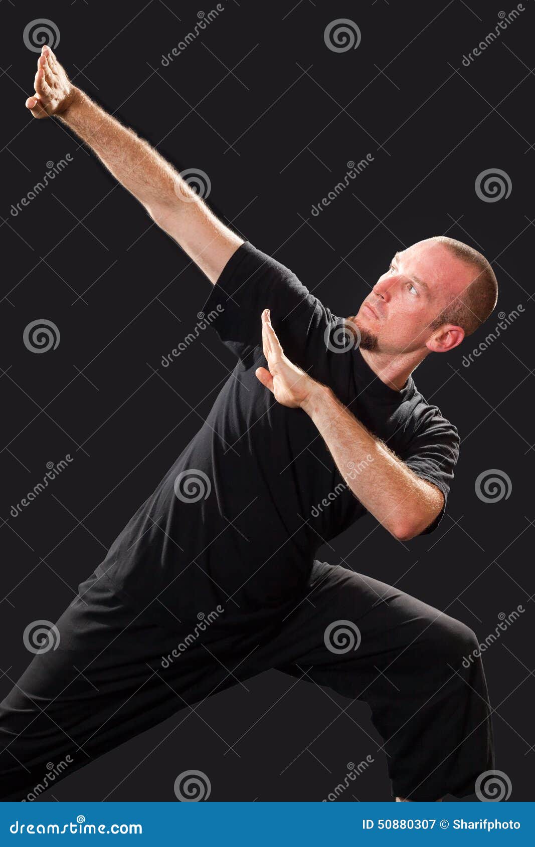 Martial Arts Teacher in Fighting Pose Stock Image Image of studio