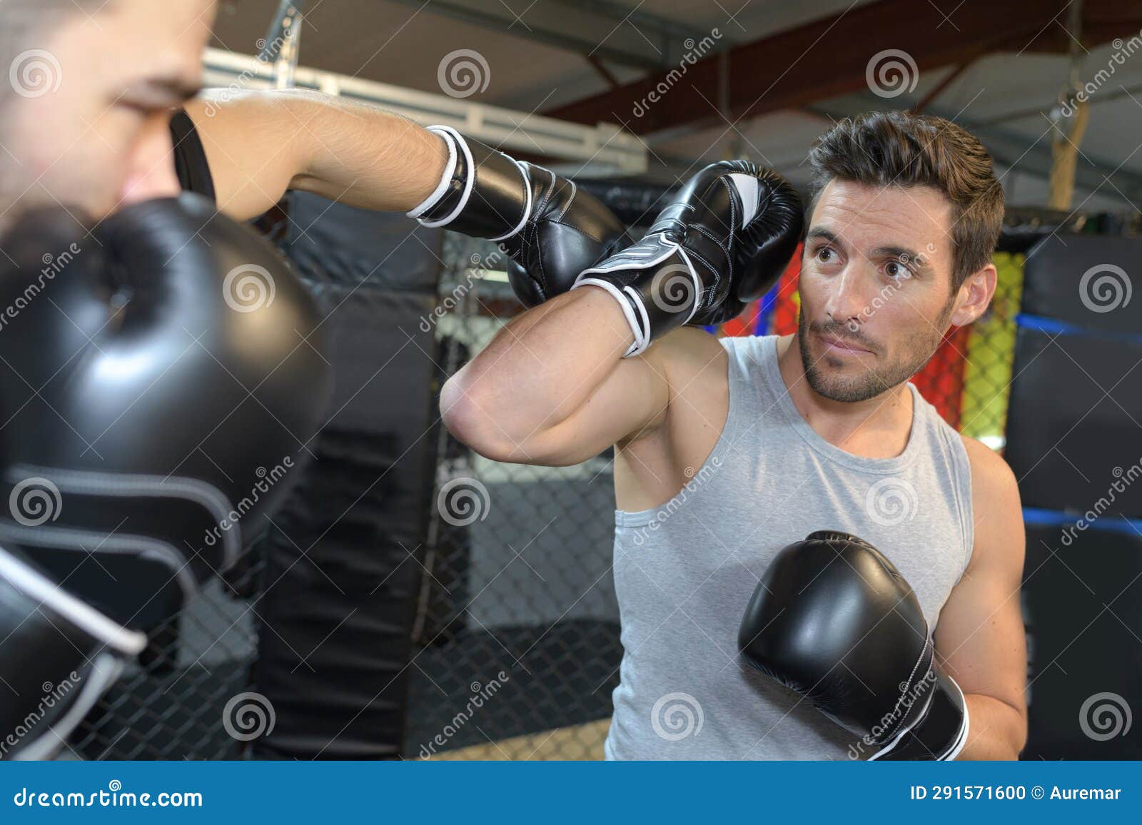 Martial arts using gloves stock photo. Image of studio 291571600