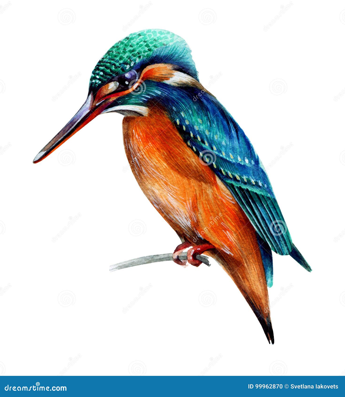 Martin-pêcheur D'oiseau Peint Dans La Technique D'aquarelle