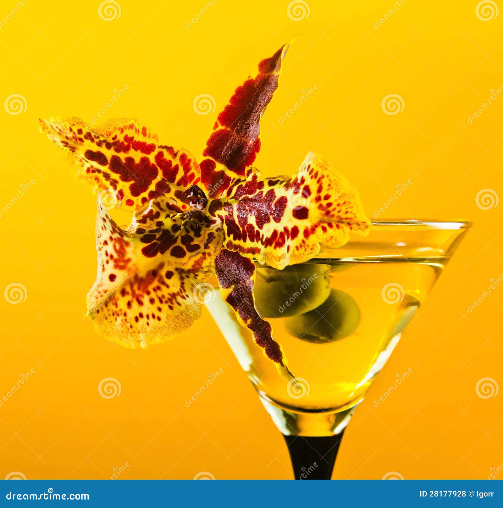 Martini with green olives stock photo. Image of fresh 28177928