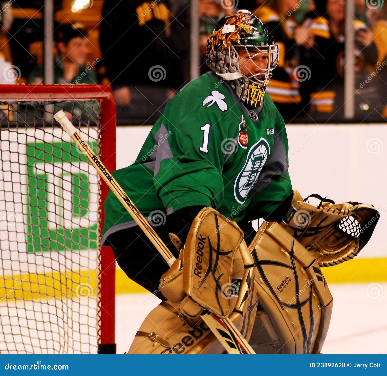 Images of goalie Marty Turco