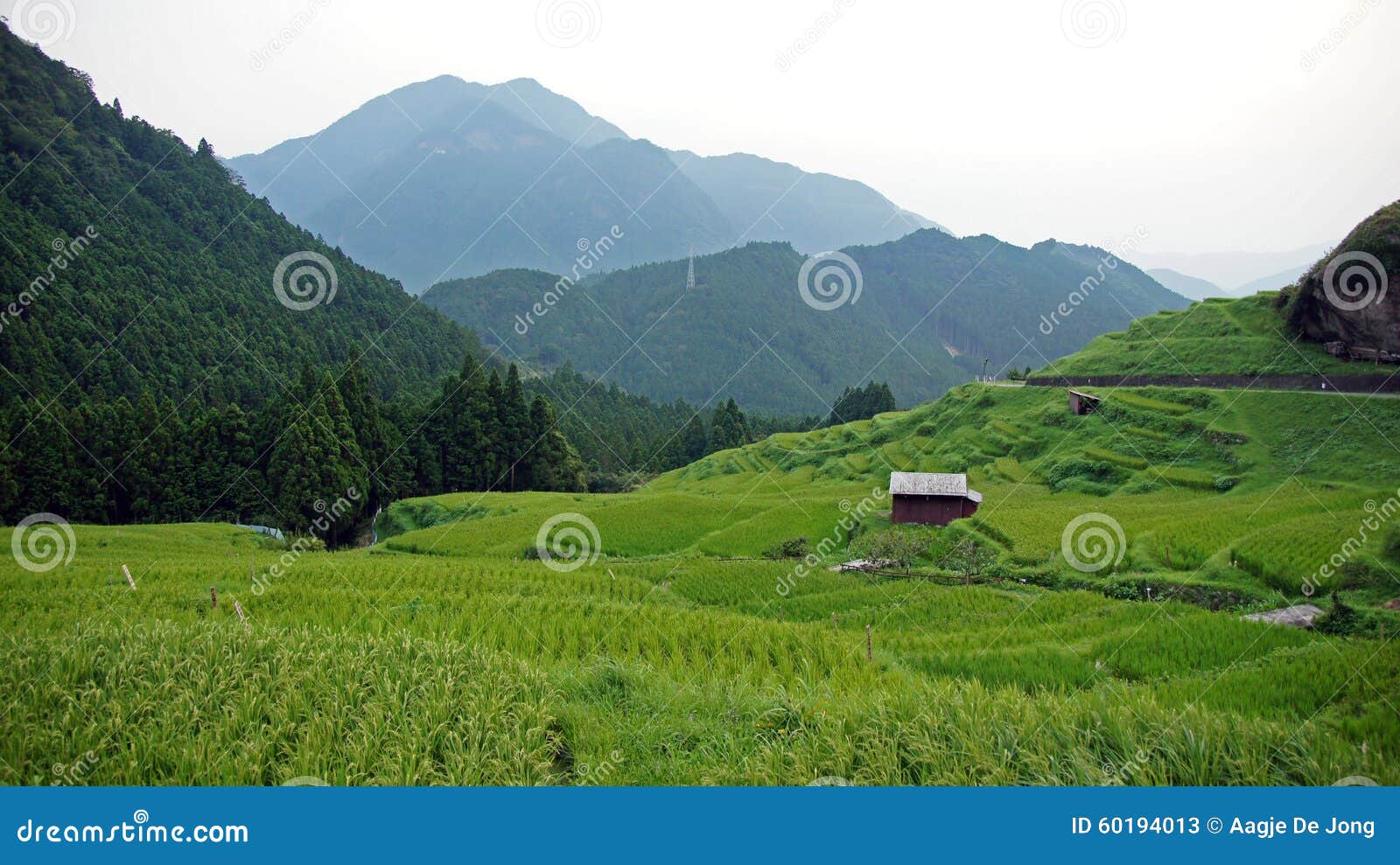 Maruyama Senmaida Rice Terraces In Japan Stock Image Image Of Terraces Kiwa