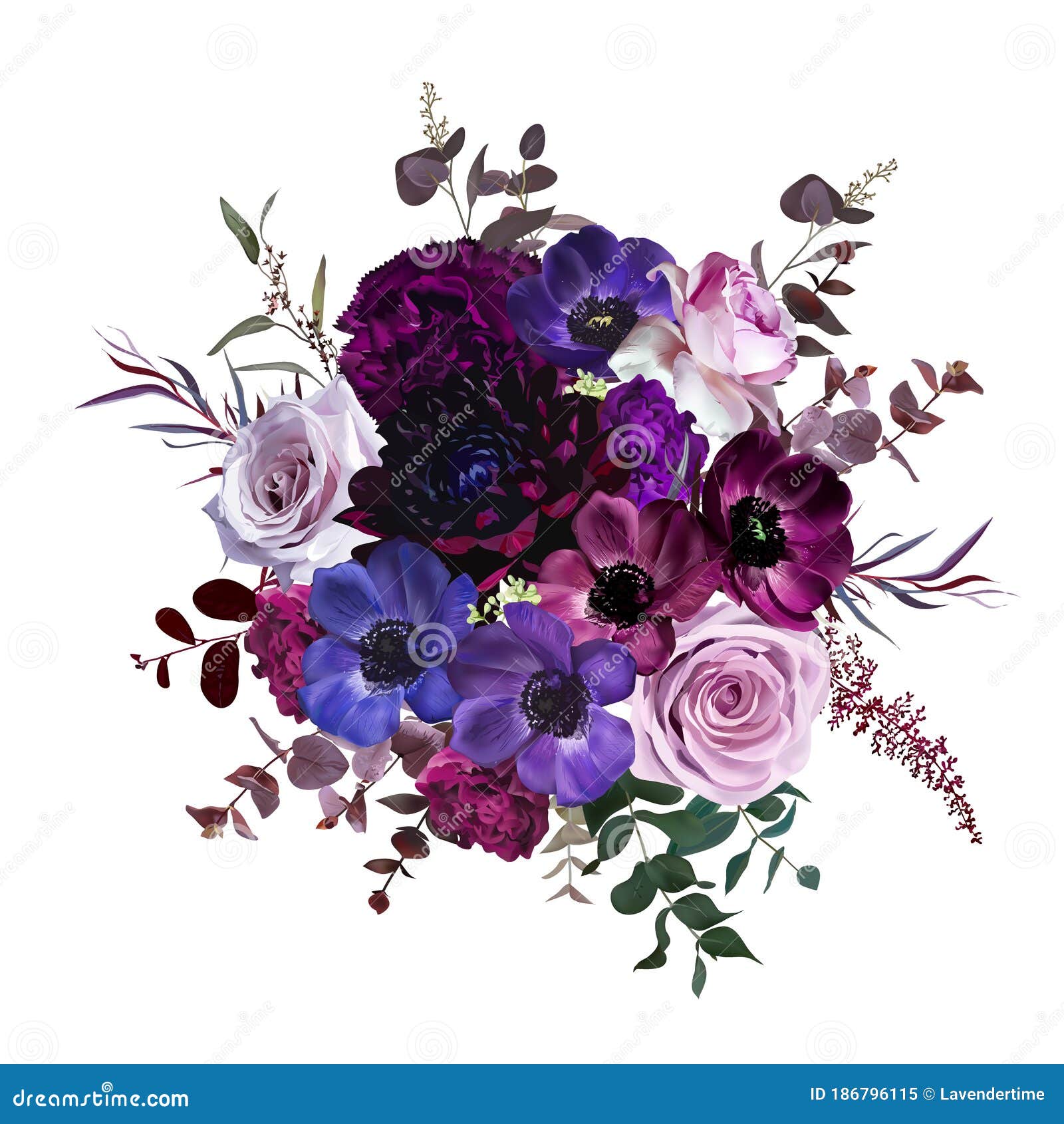 Purple Plum Maroon Burgundy Peony Rose Stock Illustration