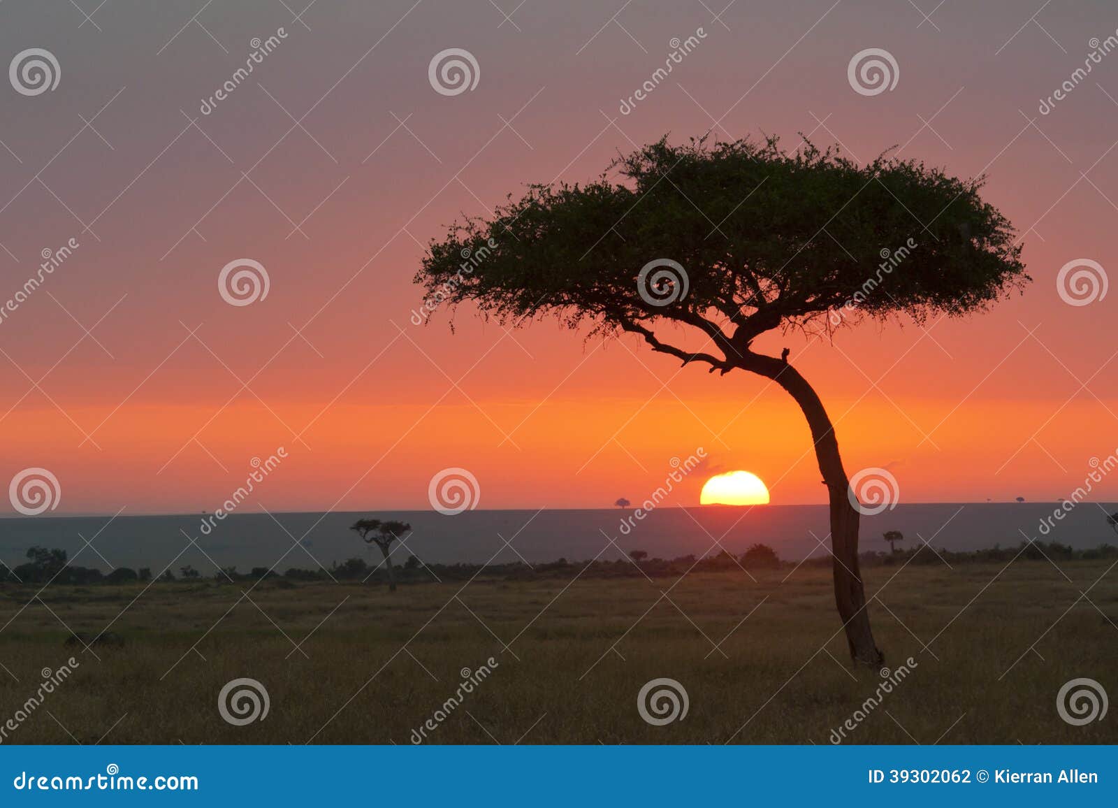 masai mara sunrise kenya